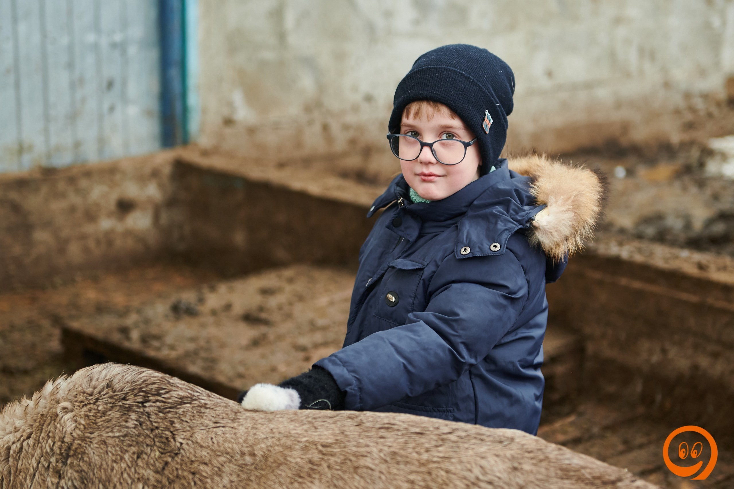 В гости к северным оленям | 18.01.2025. Галерея Фантим