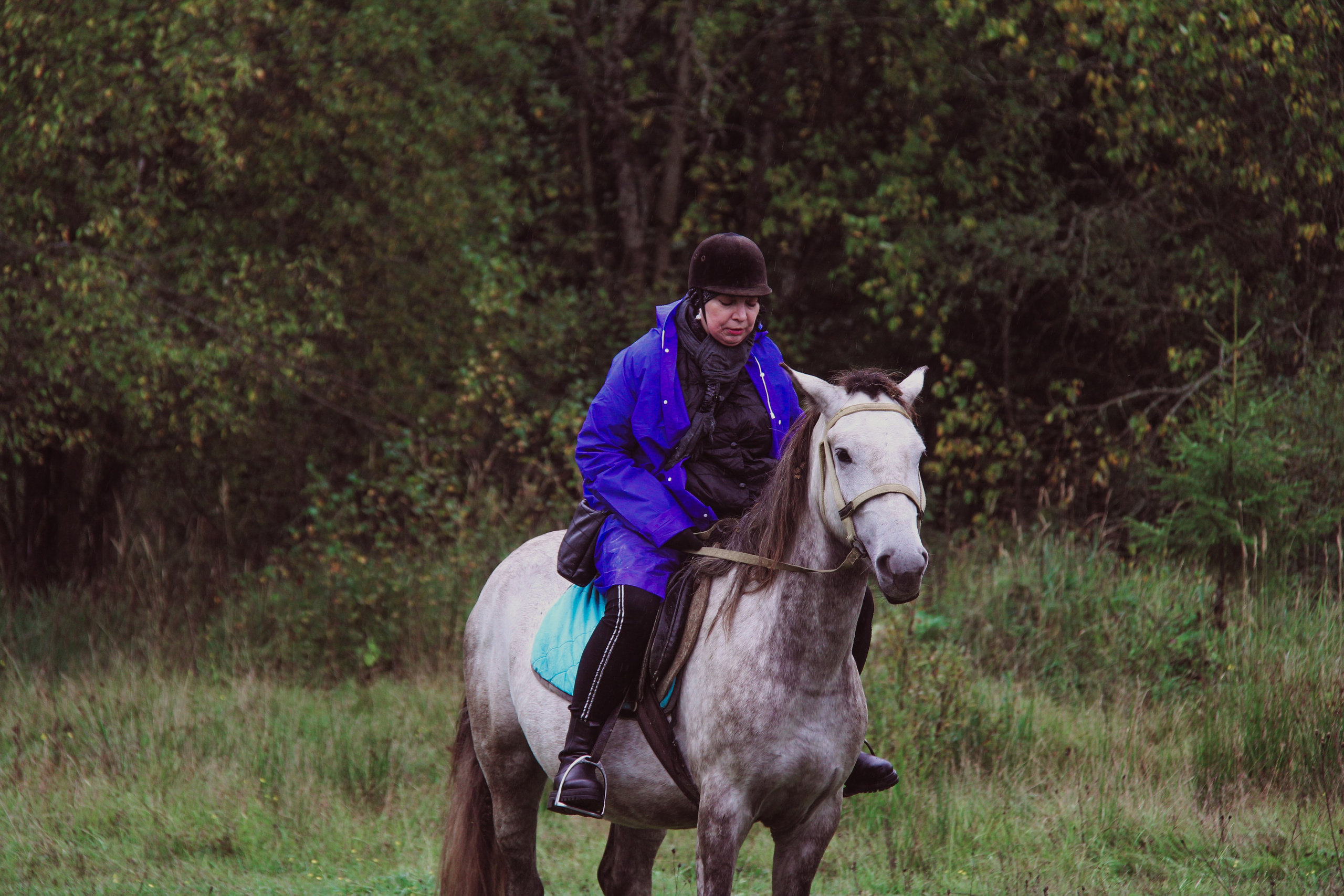 Лошадинг | 27.09.2025. Галерея Фантим