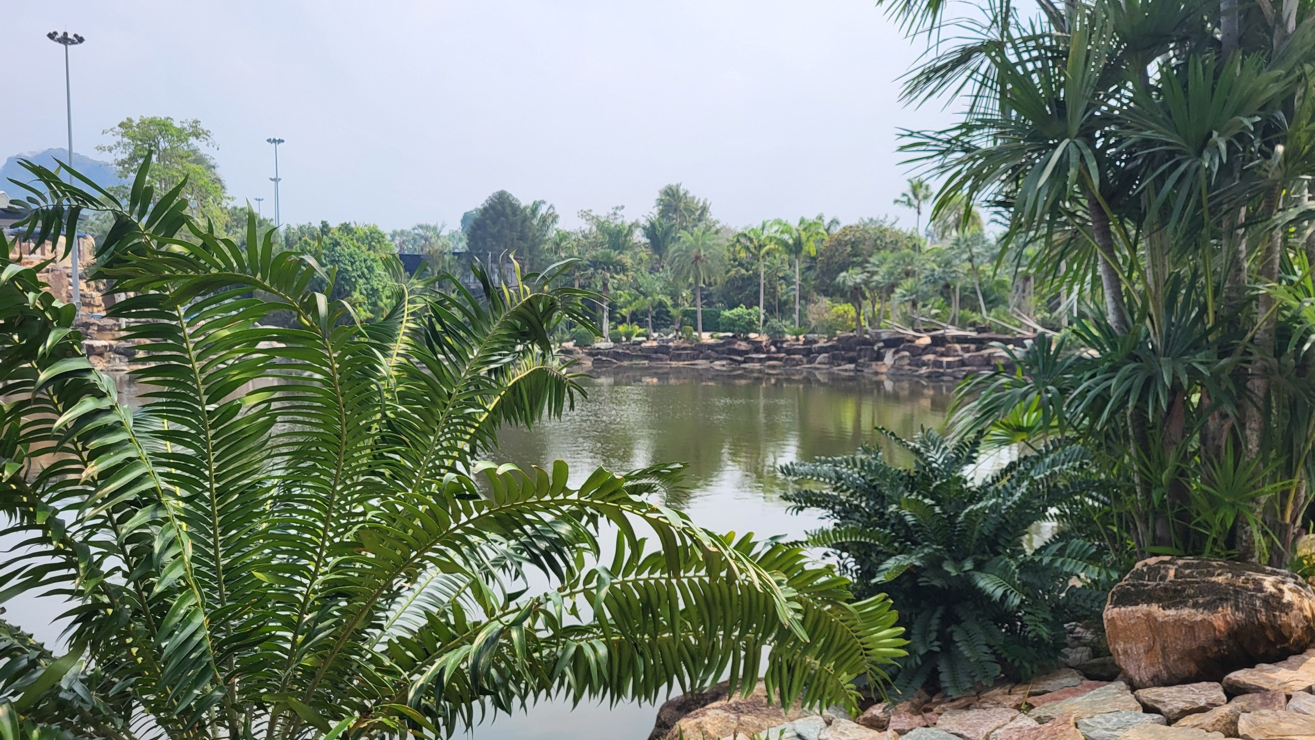 Таиланд | январь–февраль 2024. Галерея Фантим