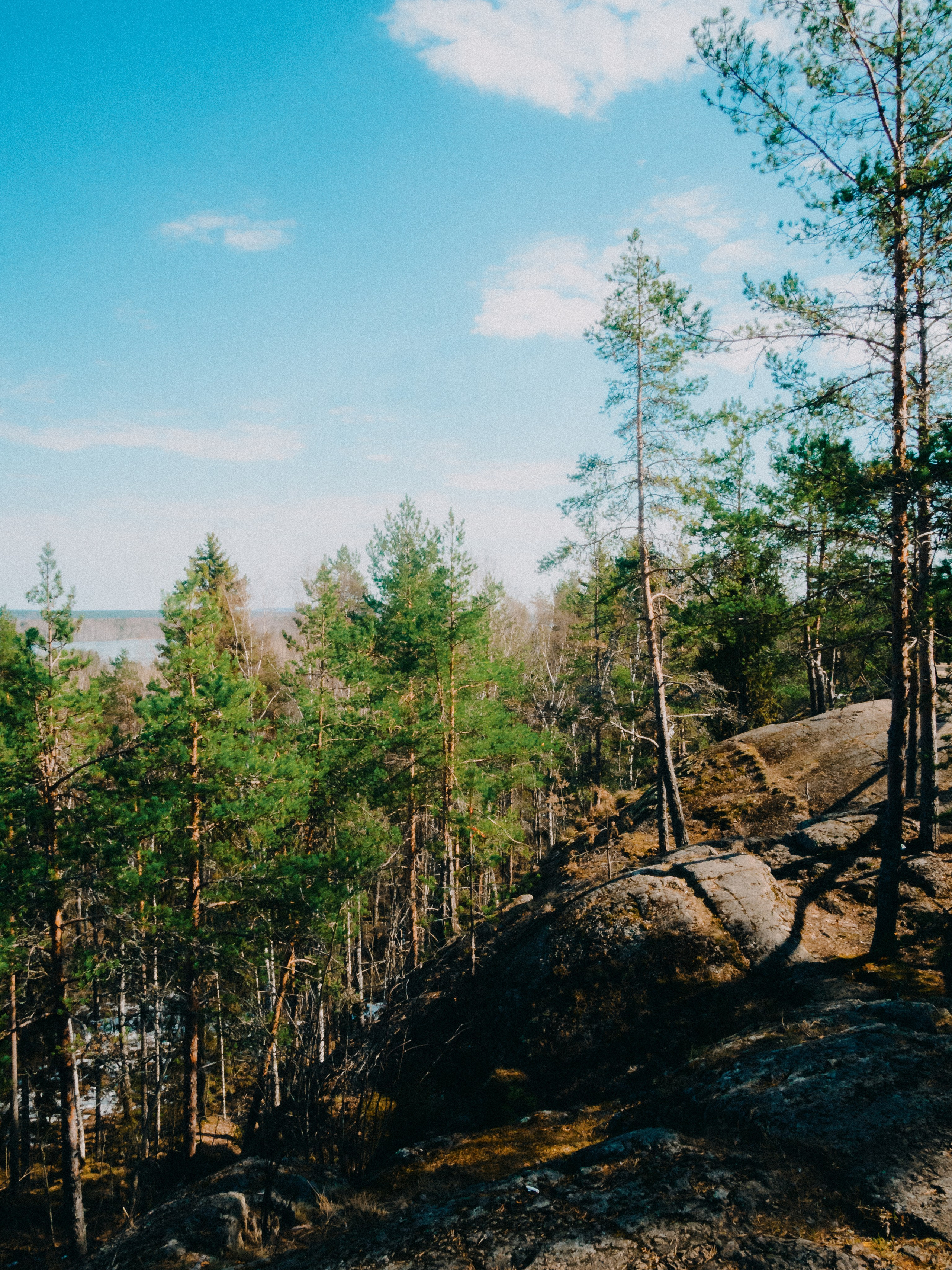 Карелия '23. Фёдор Малюгин. Ваш бади в визуале