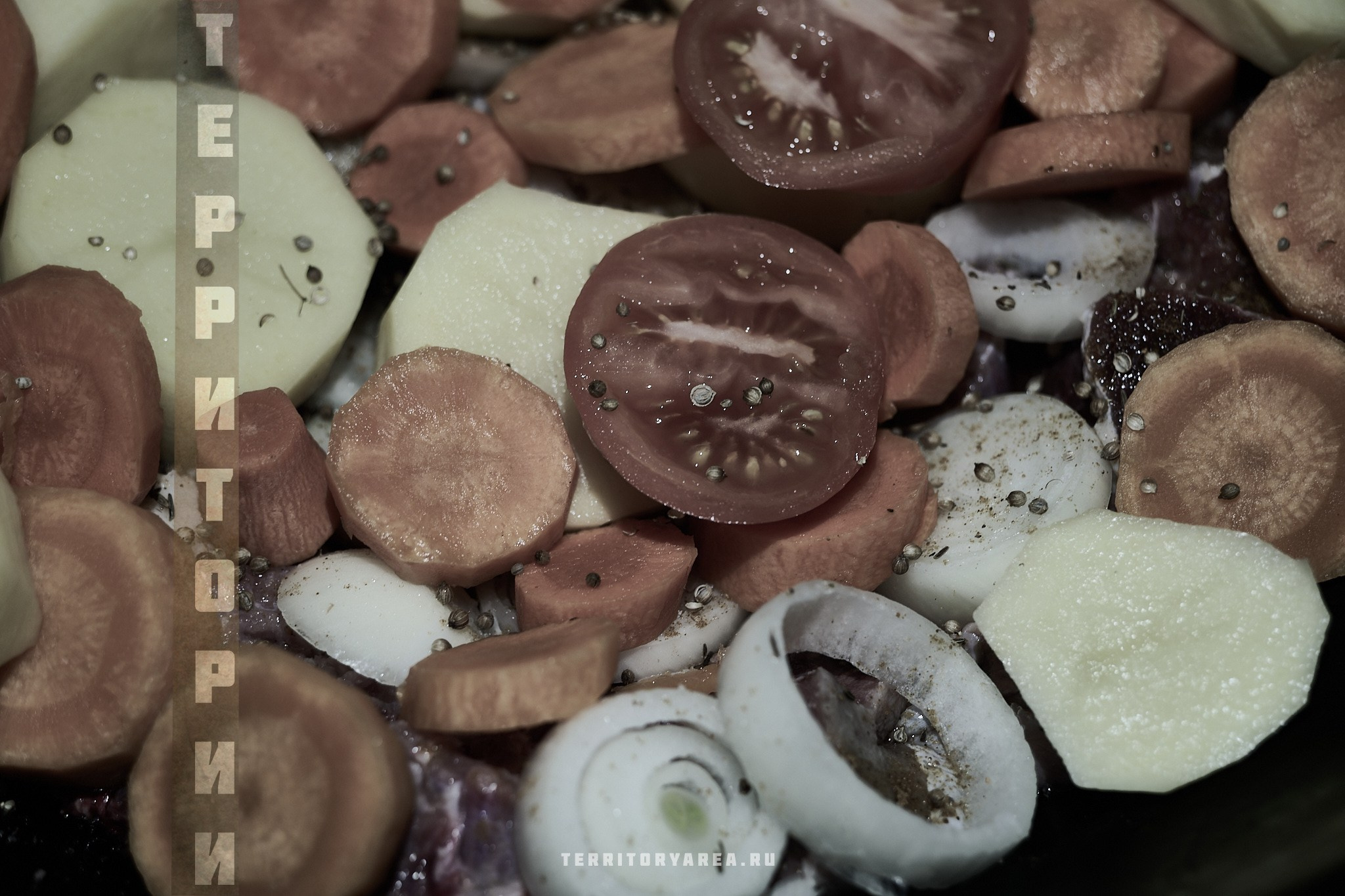 Открытки фотопроекта «Территории». Фотопроект «Территории»