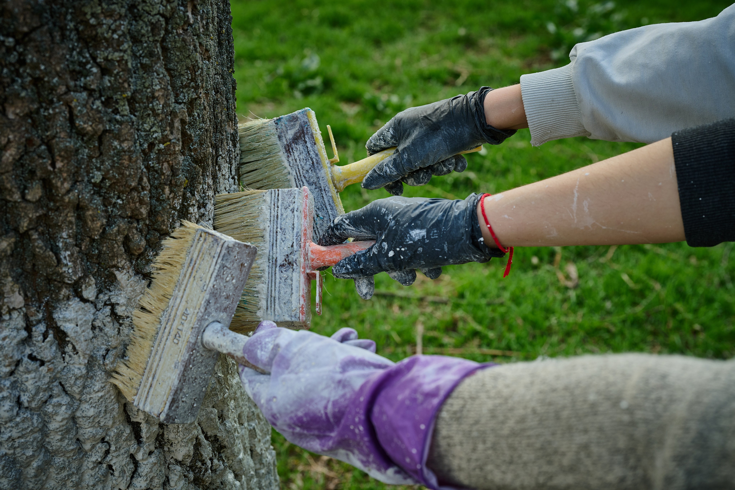 Мелитополь. Фотопроект «Территории»