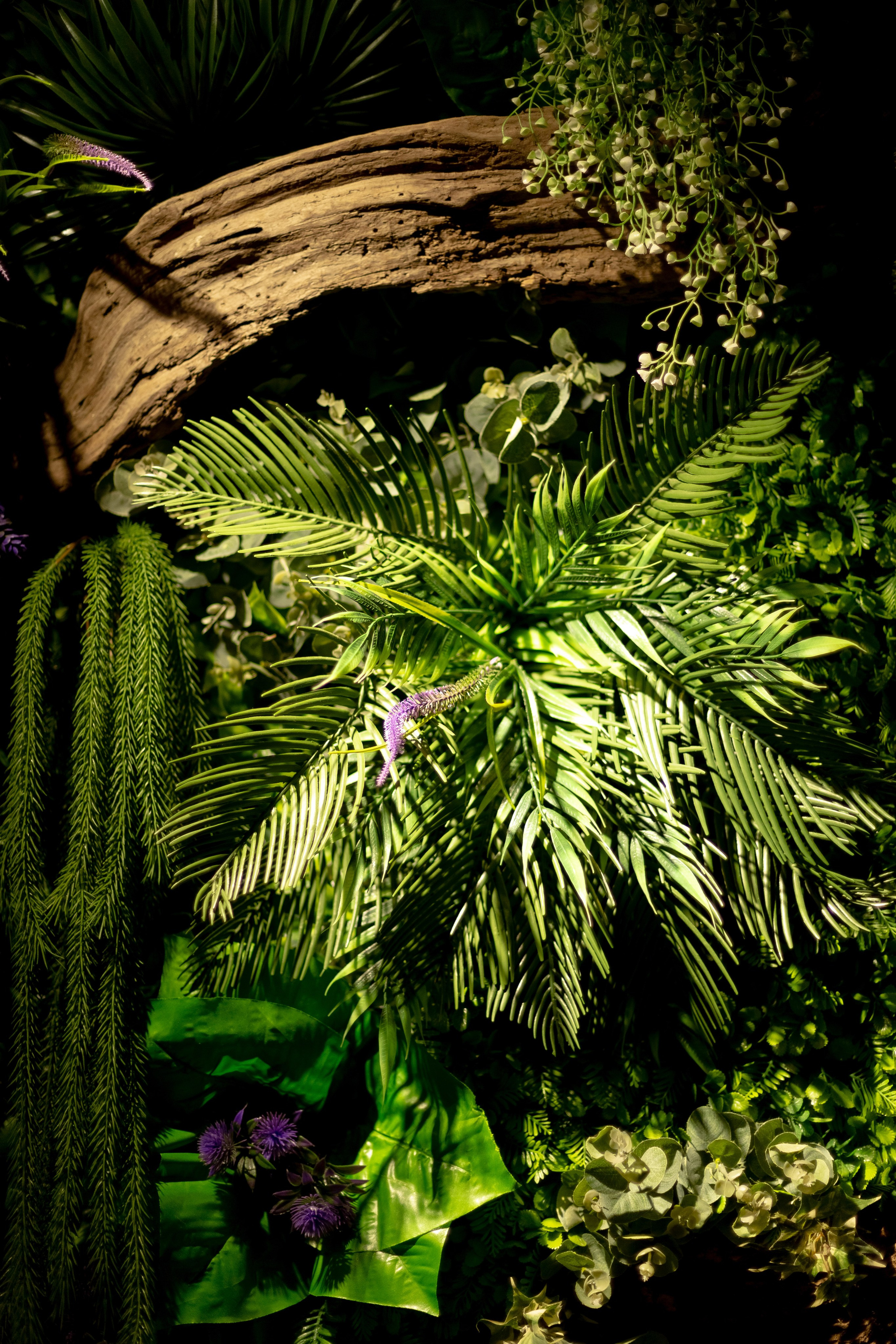 Wood. Свадебный фотограф в Нальчике Алим Джаппуев