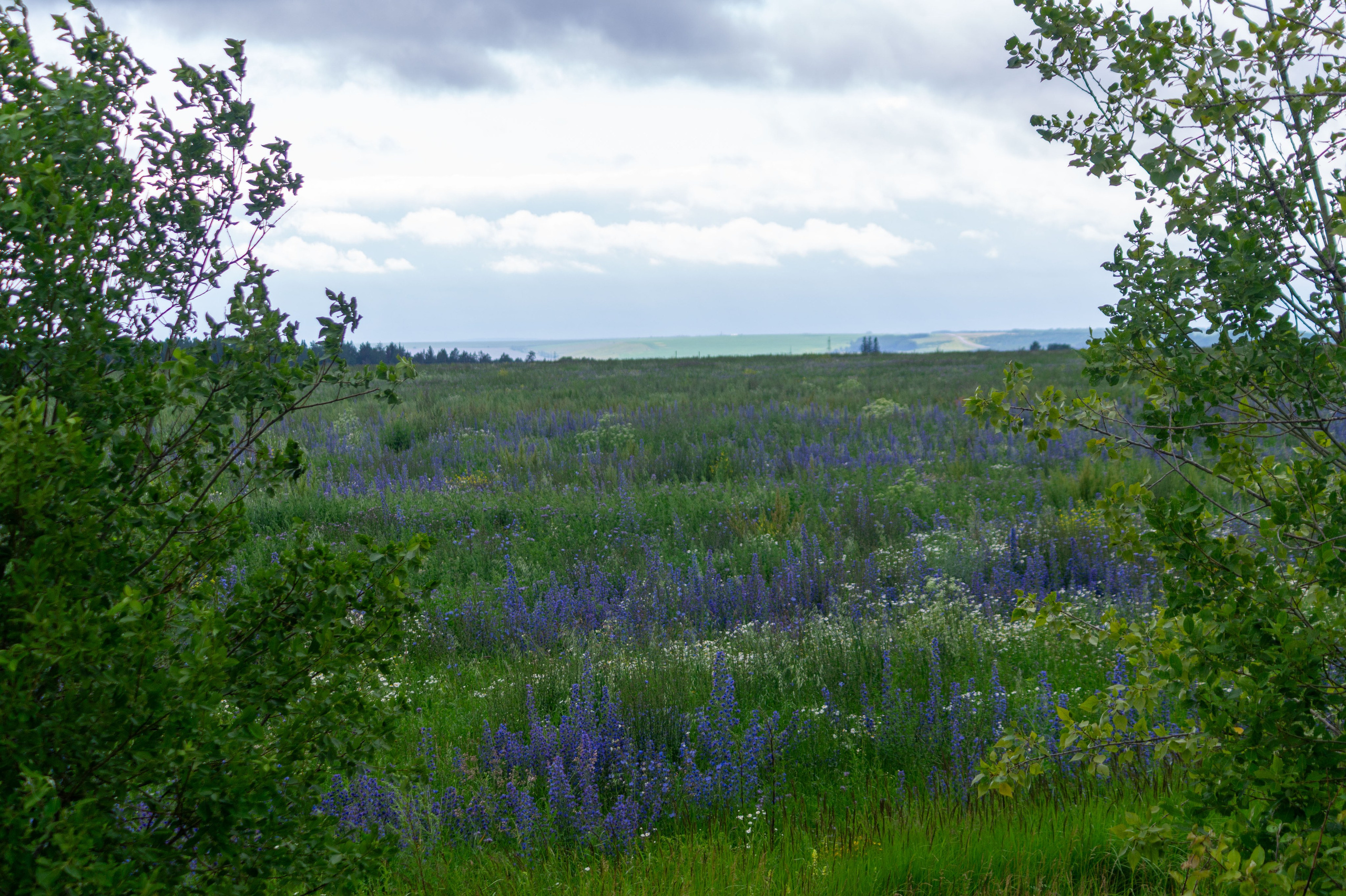 Г. Вятские Поляны лето 2025. Портретный и семейный фотограф Санкт-Петербург