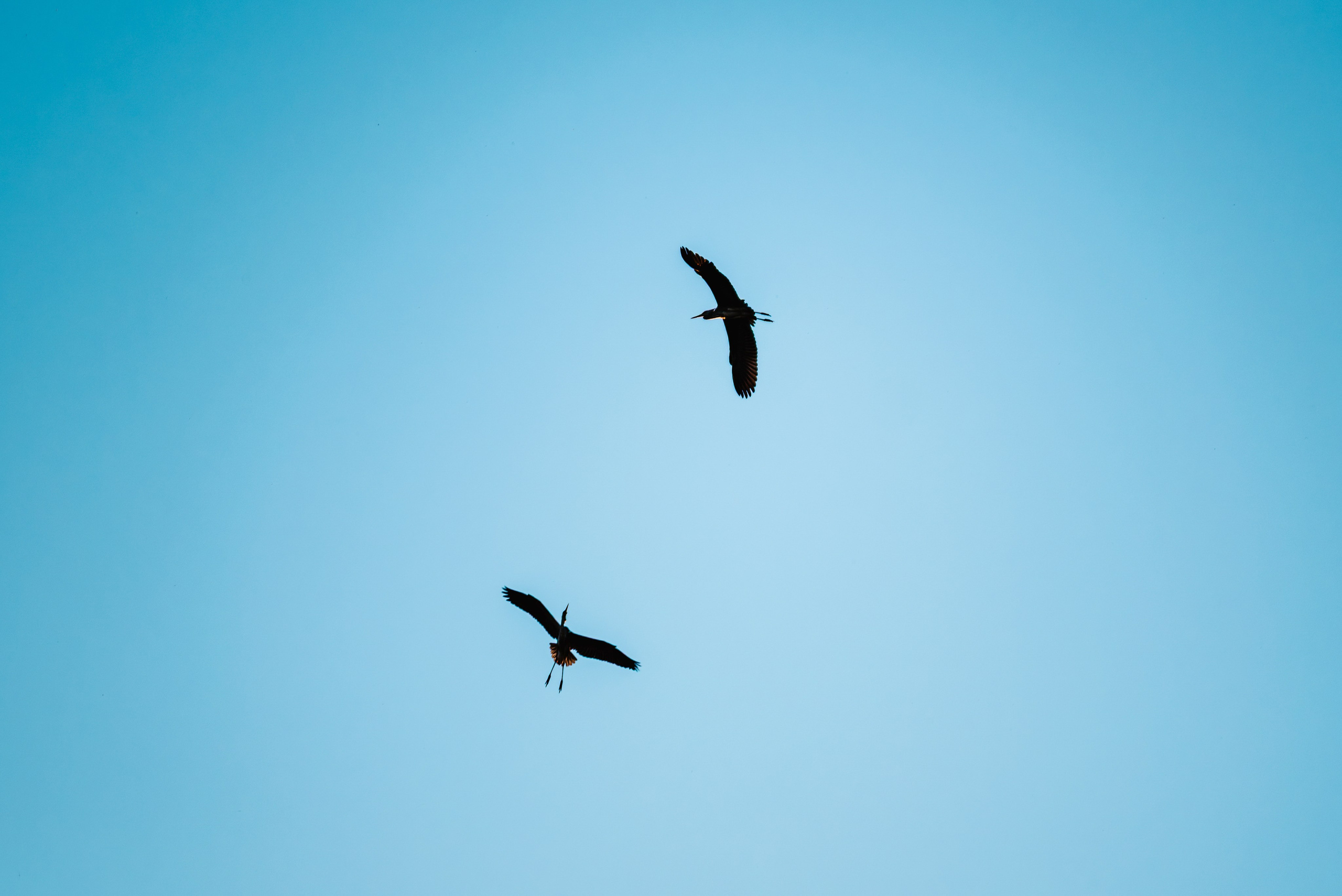 Лето. Фотограф в Ветлуге Сергей Белов (VETLUGA B.S.)