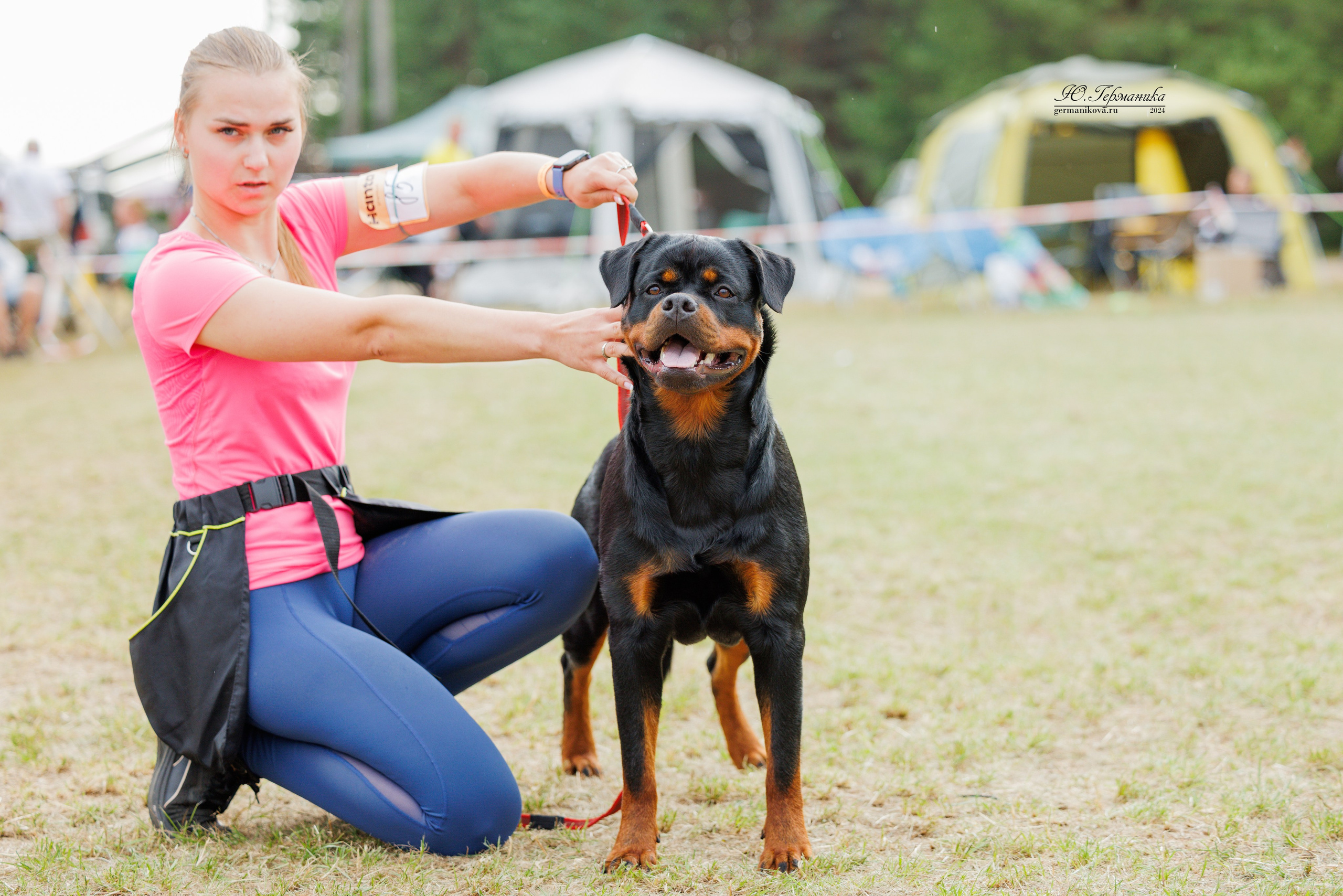 ПК и КЧК ротвейлеры Тверь 6-7.07.2024. Фотограф-анималист Юлия Германика