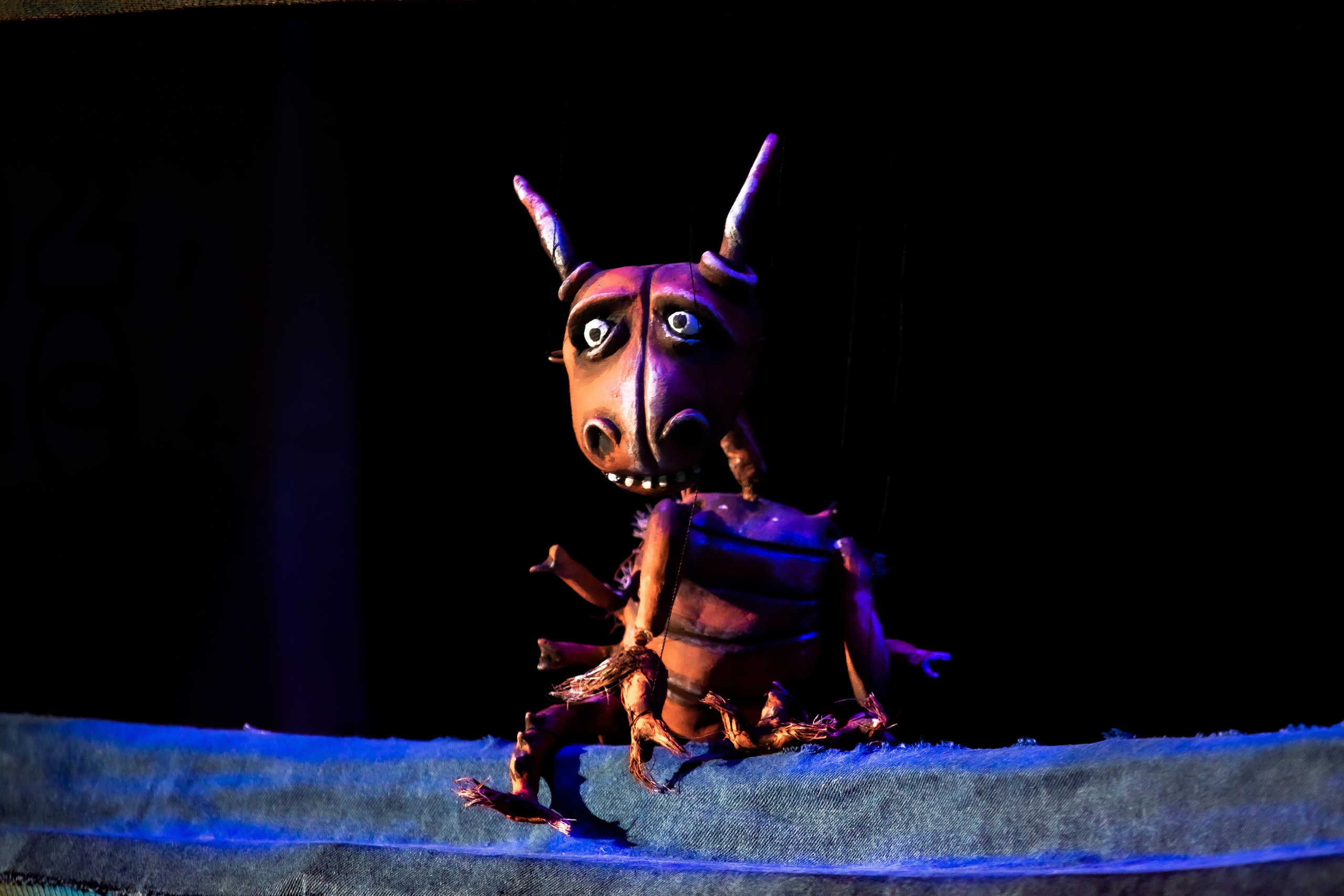 Тараканище спектакль кукольного театра Саквояж — премьера. Фотограф в Сочи Юрий Шептаев