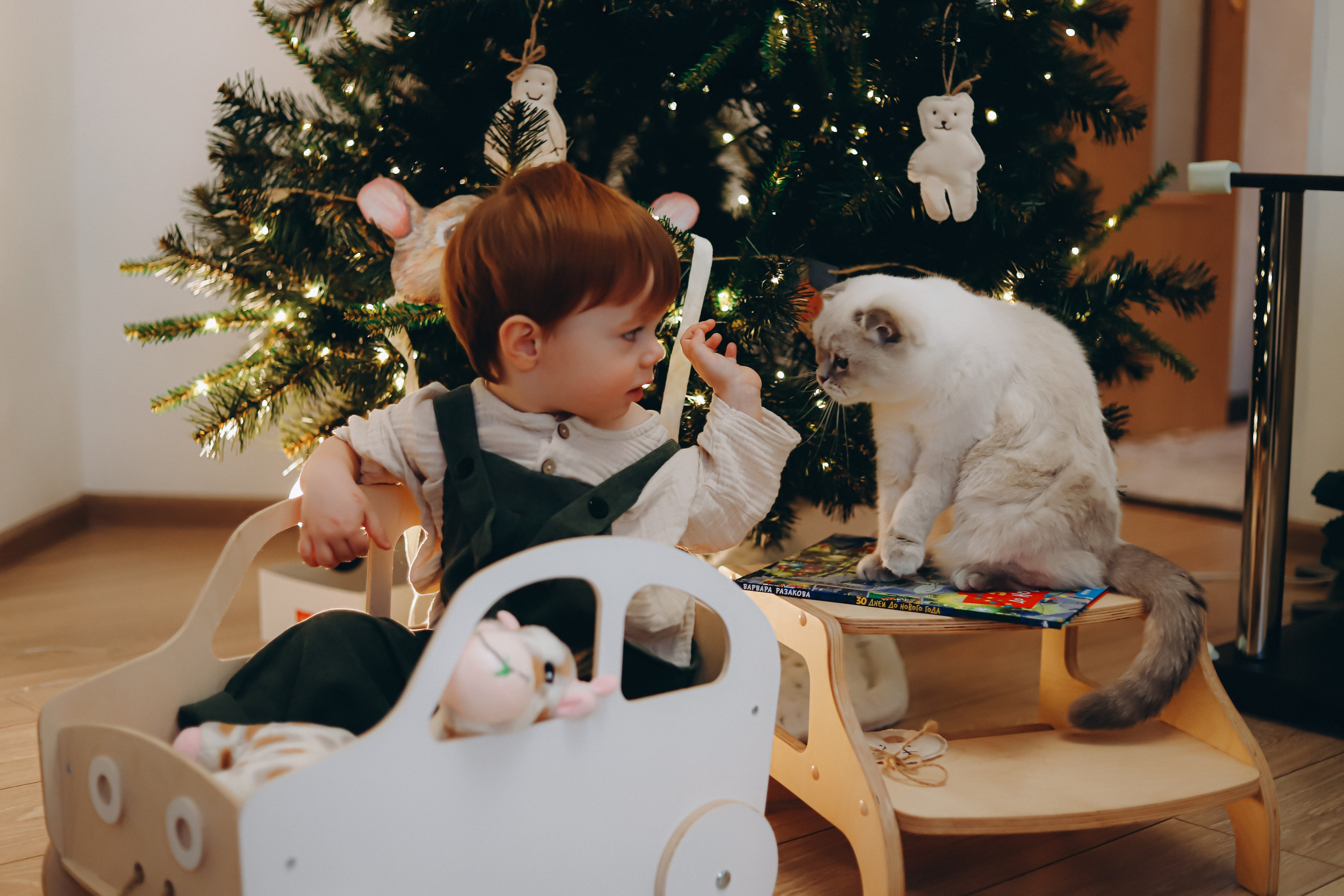 Домашняя новогодняя история. Алексей+Ксения+Дима. Услуги