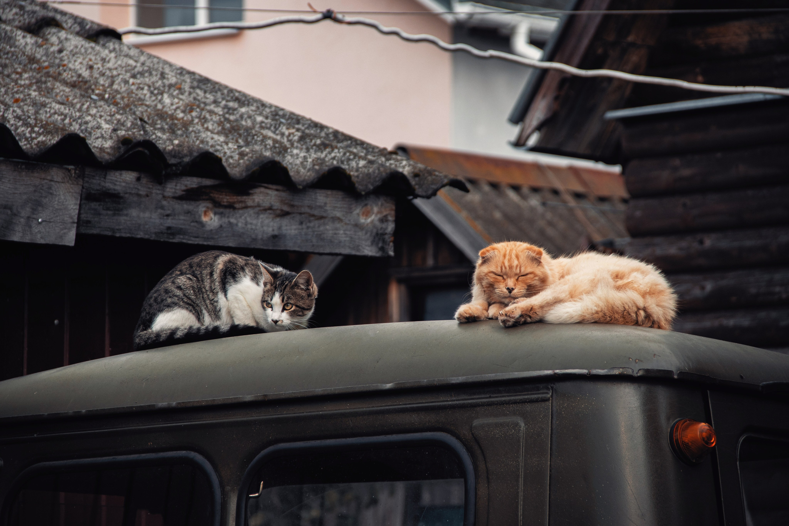 Уличные модели. С любовью, фотохудожник
