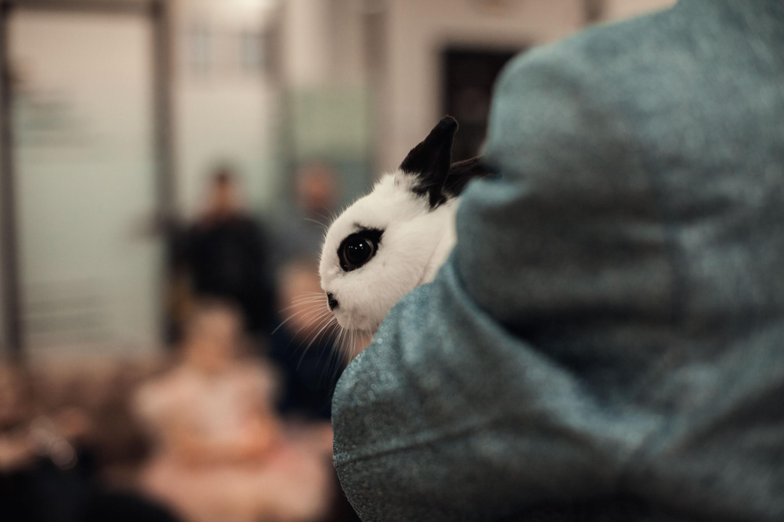 День Рождения Маши. Семейный и детский фотограф во Всеволосжке Людмила Квасова