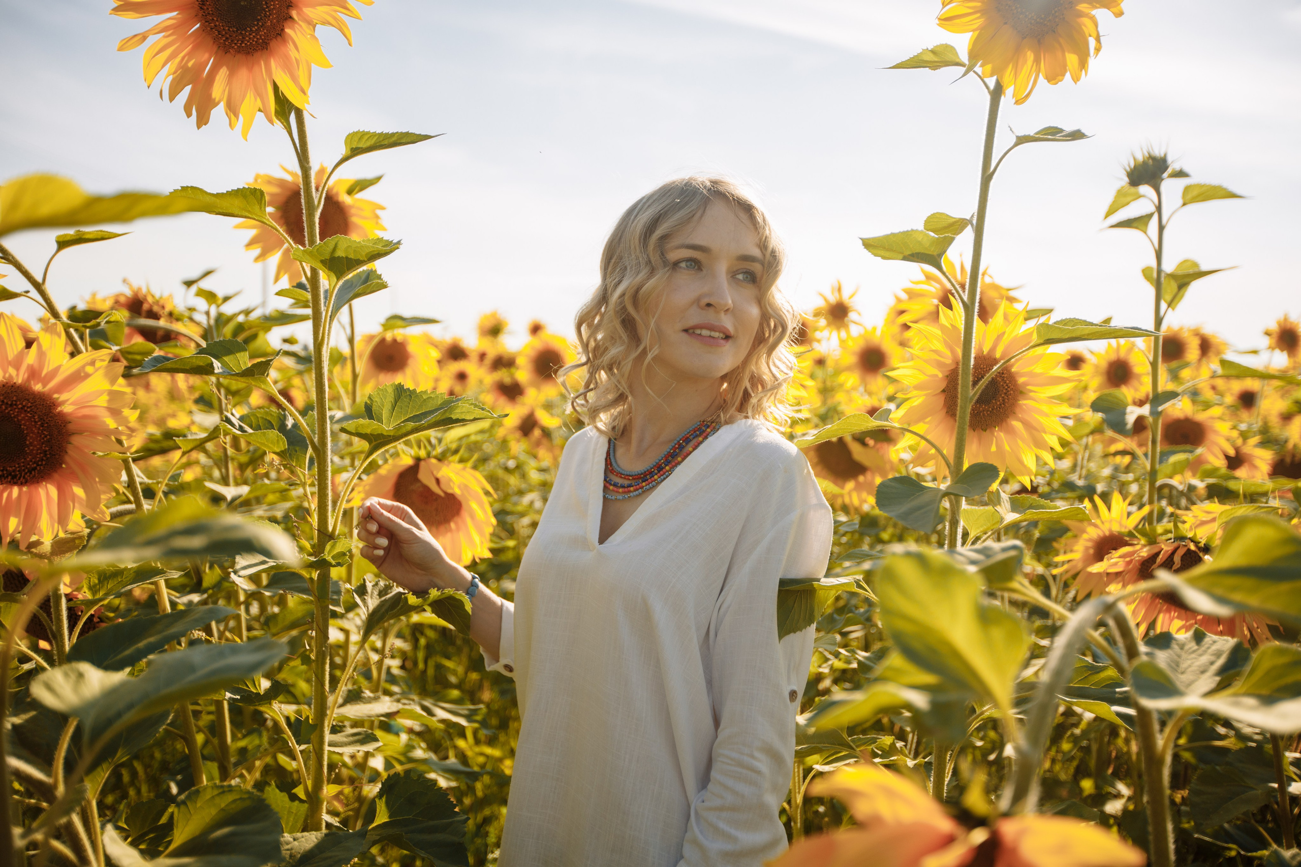 Подсолнухи. Фотограф в Барнауле Ирина Чикалова