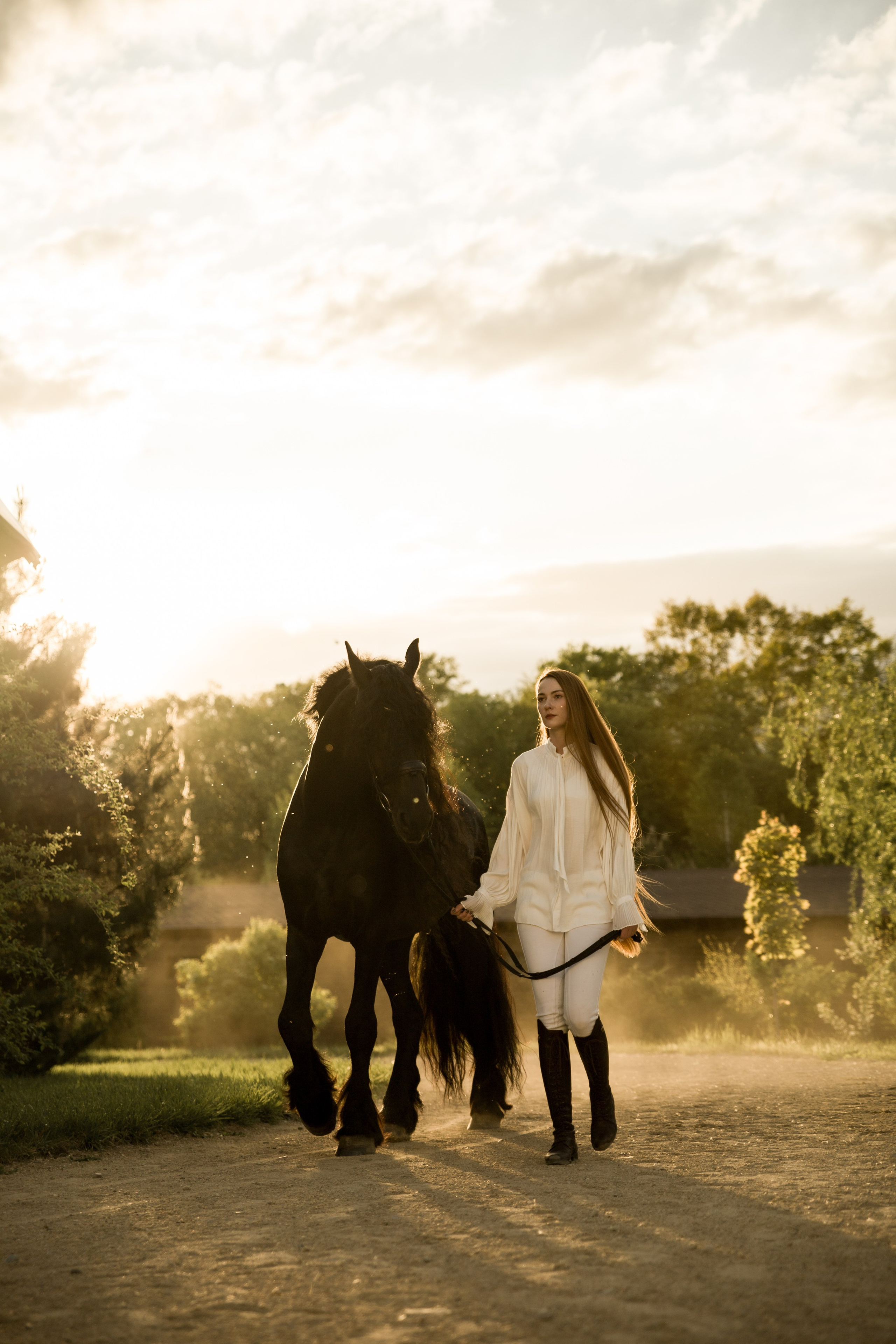 Съемка с лошадью фризской породы. Семейный и конный фотограф в Краснодарском крае и Адыгее