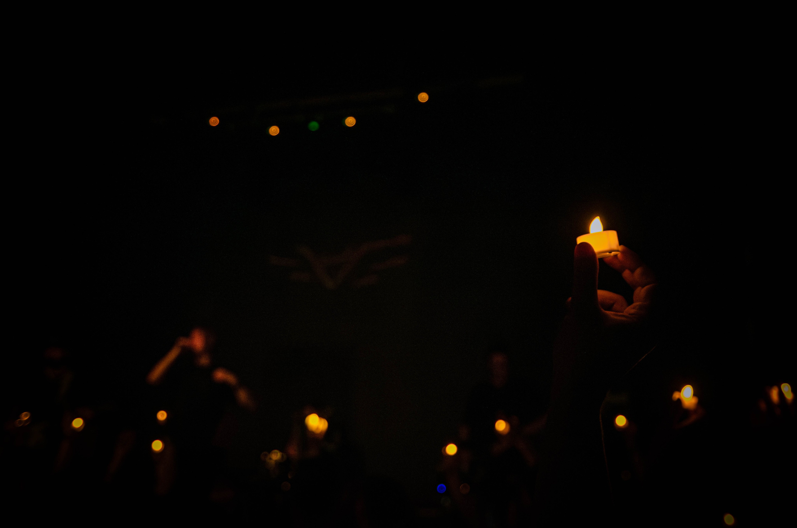 Dругой Ветер (19 апреля 2024 года, Ярославль, клуб Джао Да). Фотограф Светлана Блинова, Москва и Московская область