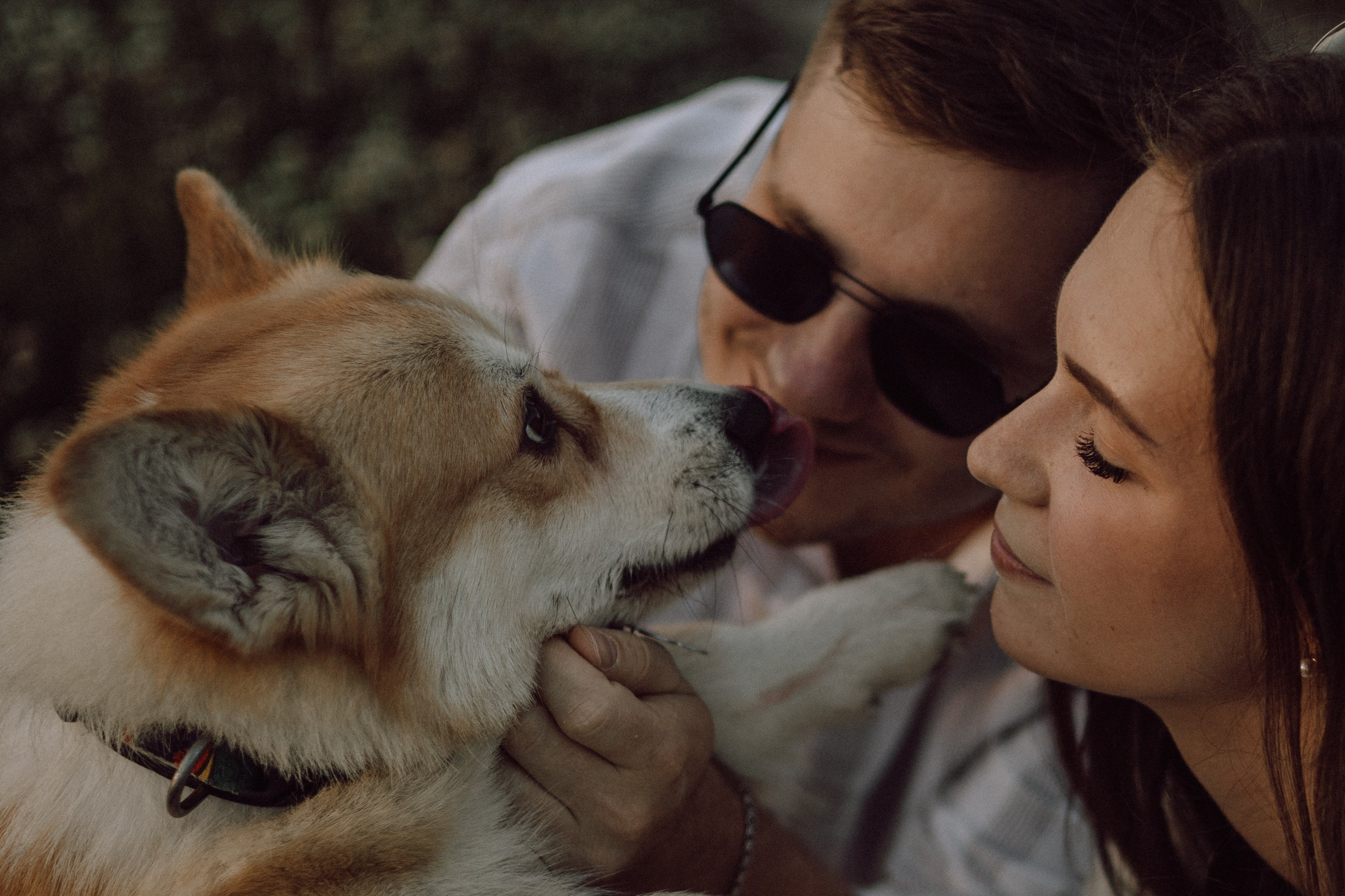 Паша, Настя и их Фёдор. Фотограф — анималист •love-story•|Санкт-Петербург