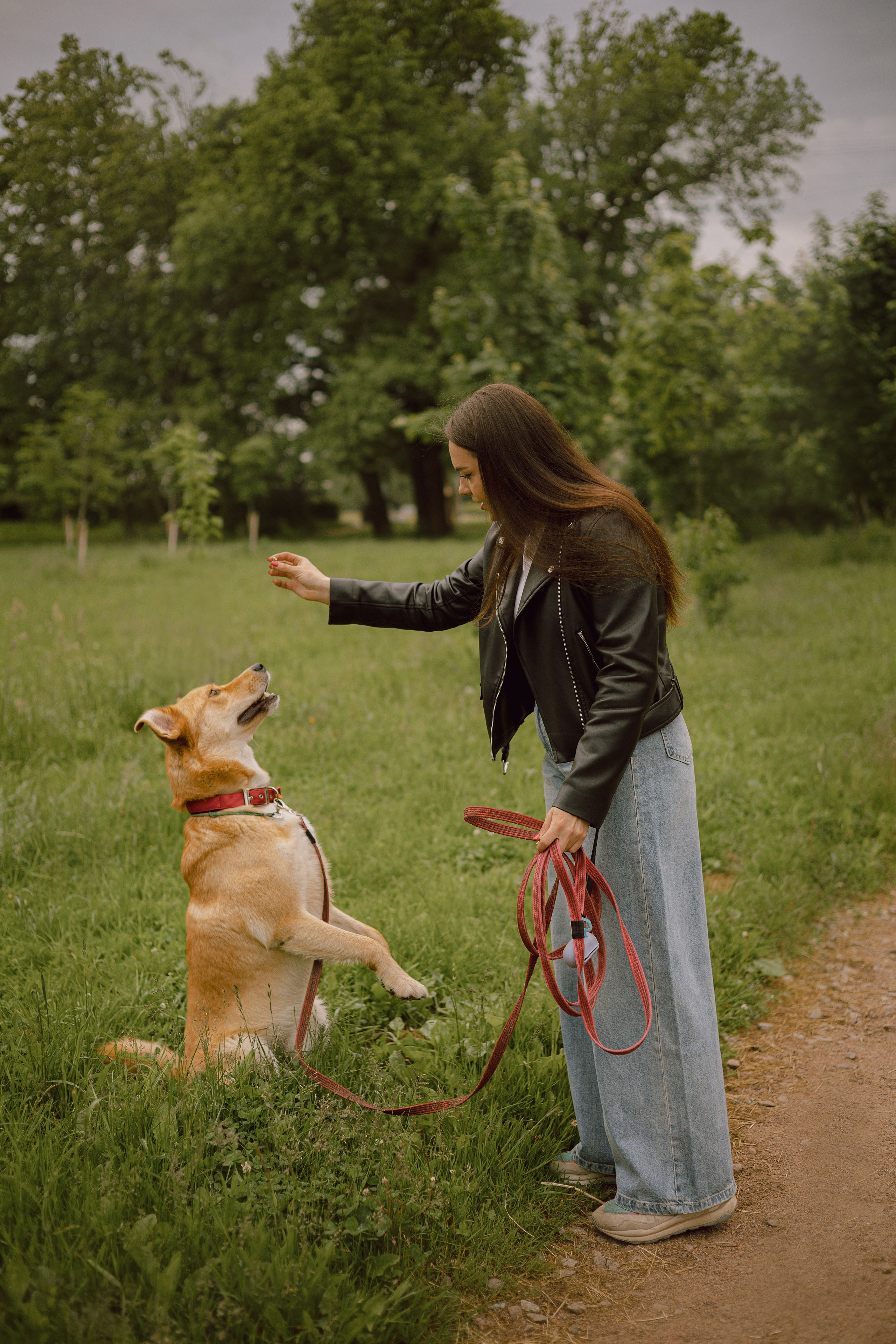 Света и Берт. Фотограф — анималист •love-story•|Санкт-Петербург