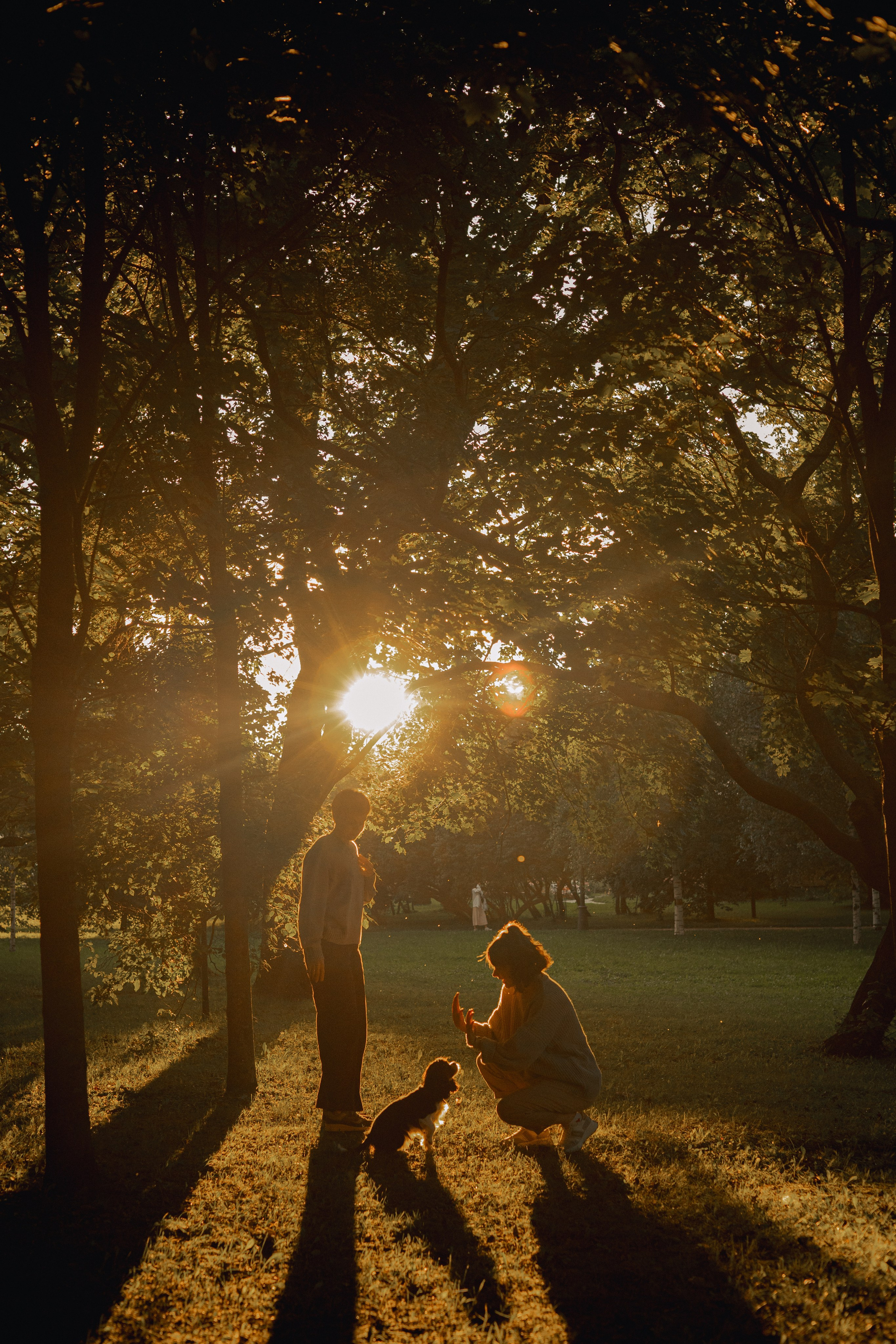 Светлана & Стеша & Настя. Фотограф — анималист •love-story•|Санкт-Петербург