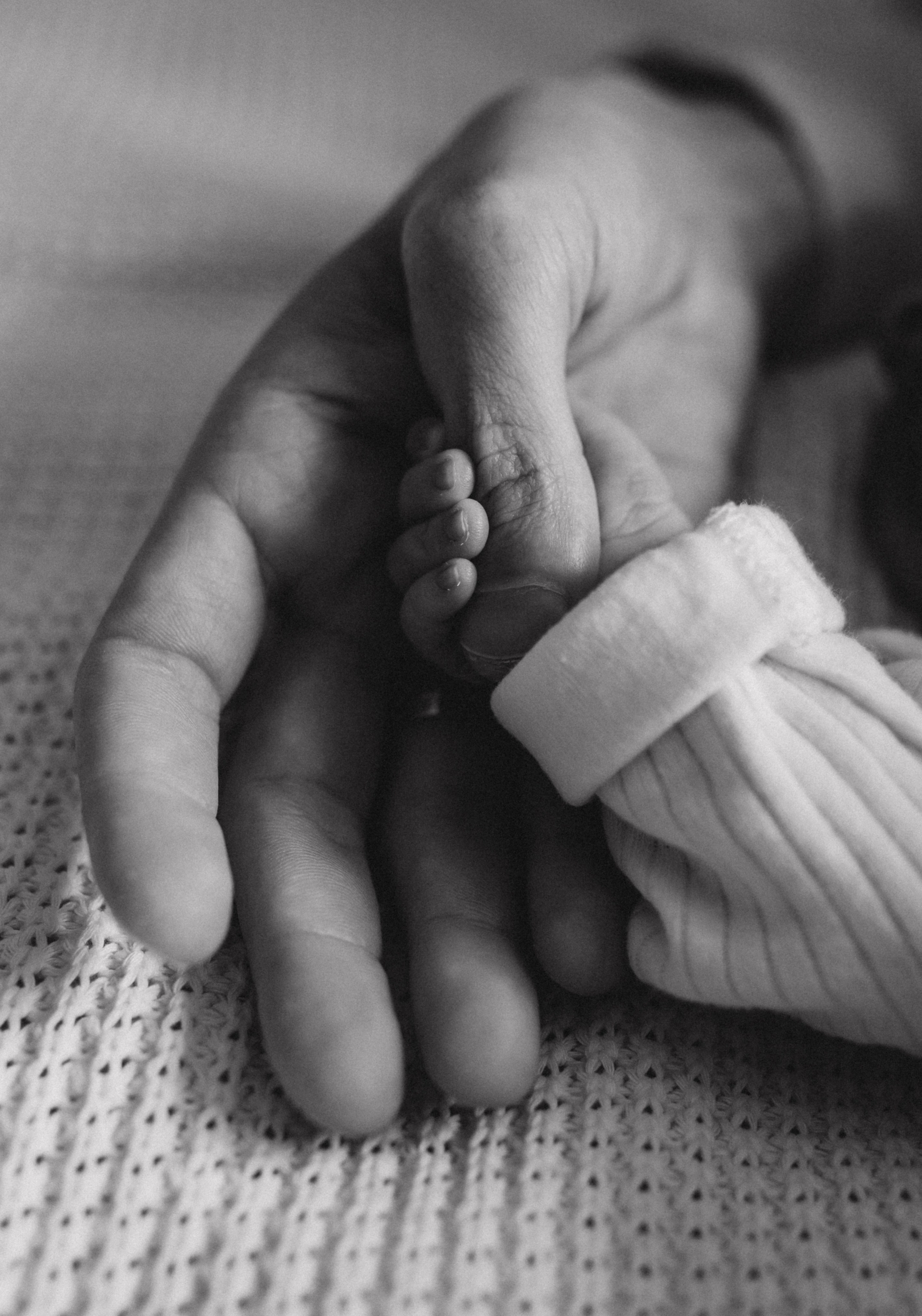 Нью Борн. Семейный и женский фотограф в Москве Коновалова Олеся