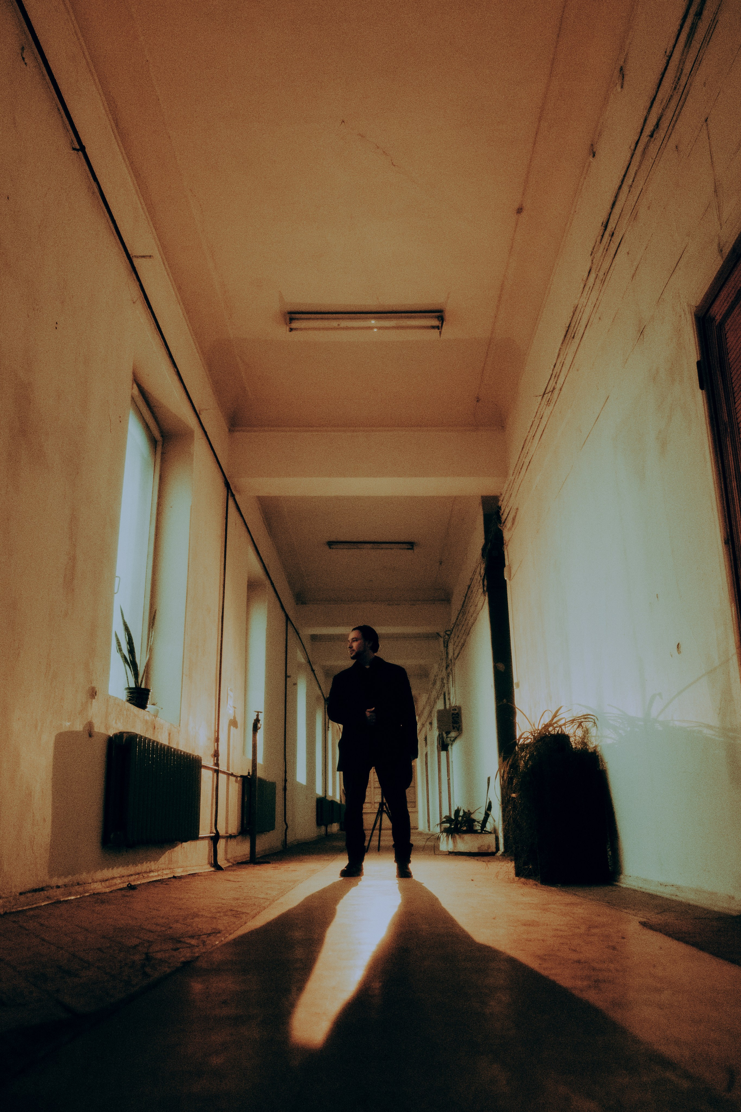 Роман. Дмитрий Пропадалин, Нейрофотография