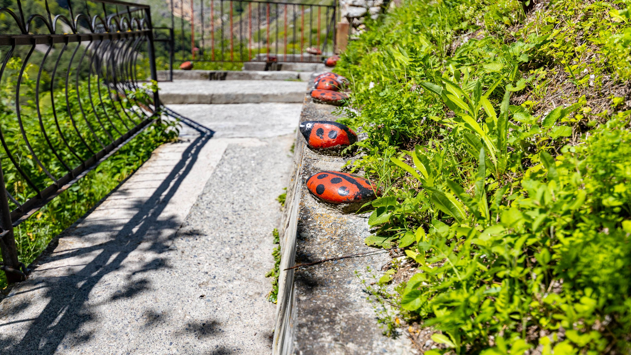 2023 07 Осетия, Ингушетия. Фотографии