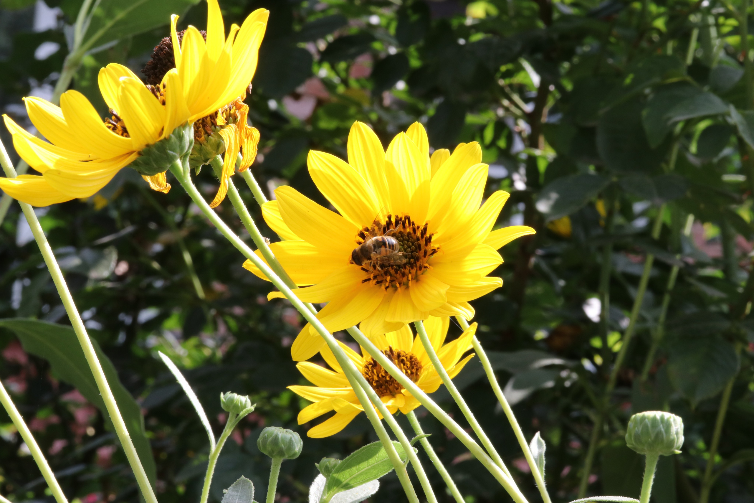 МАГАЗИН и его витрина. Фото-художник и Репортажный фотограф Николаев Александр Алексеевич