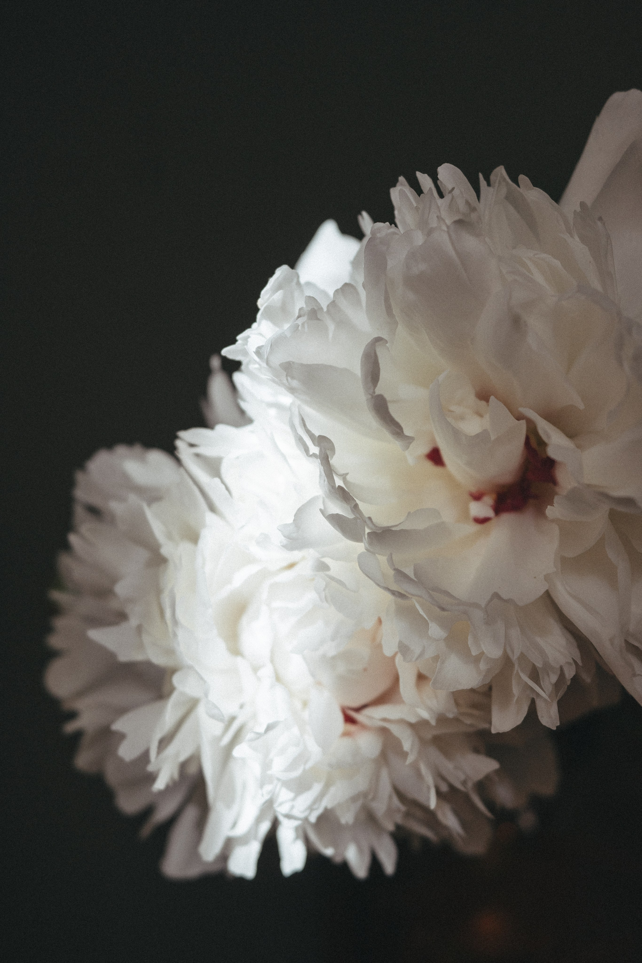Pion. <3