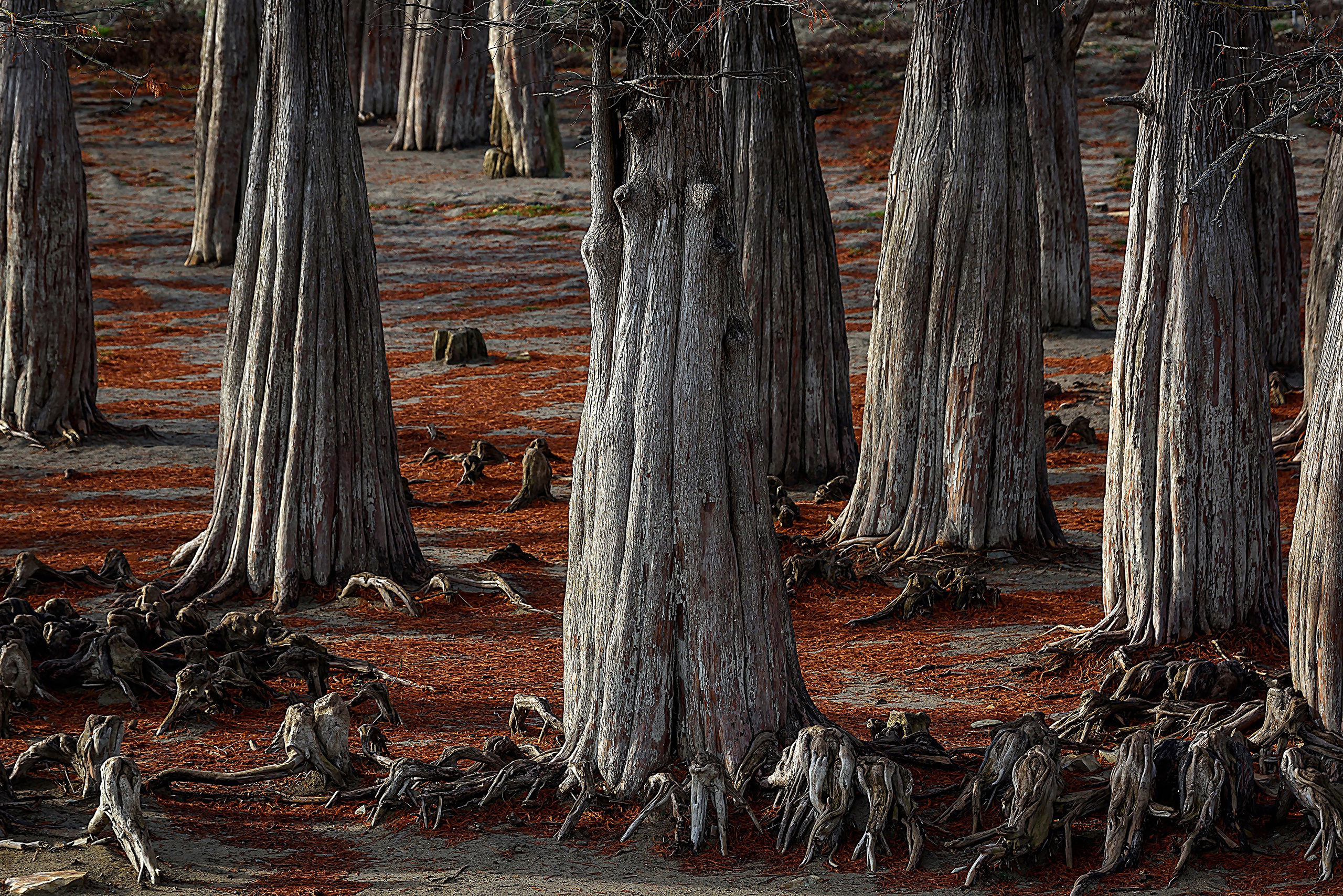 Пейзажи. Яркие фото на Чёрном море