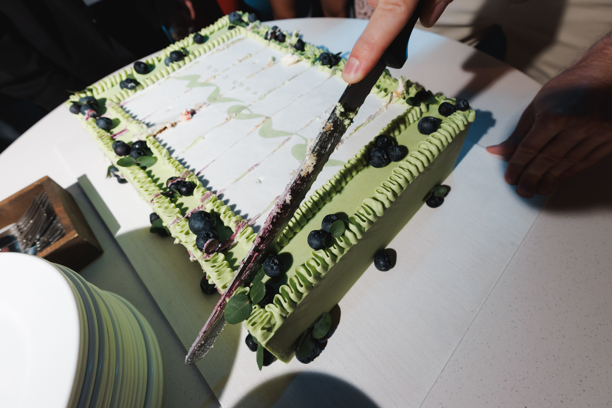 31.05.2025 TROPICAL DISCO BIRTHDAY PARTY. ProVizArt