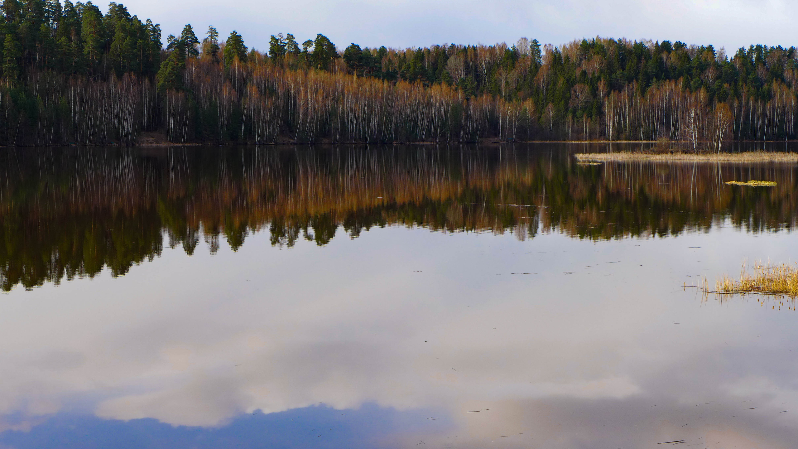 Услуги. Сергей Рыбин Фотограф в Кинешме Детский, Портретный, Свадебный…