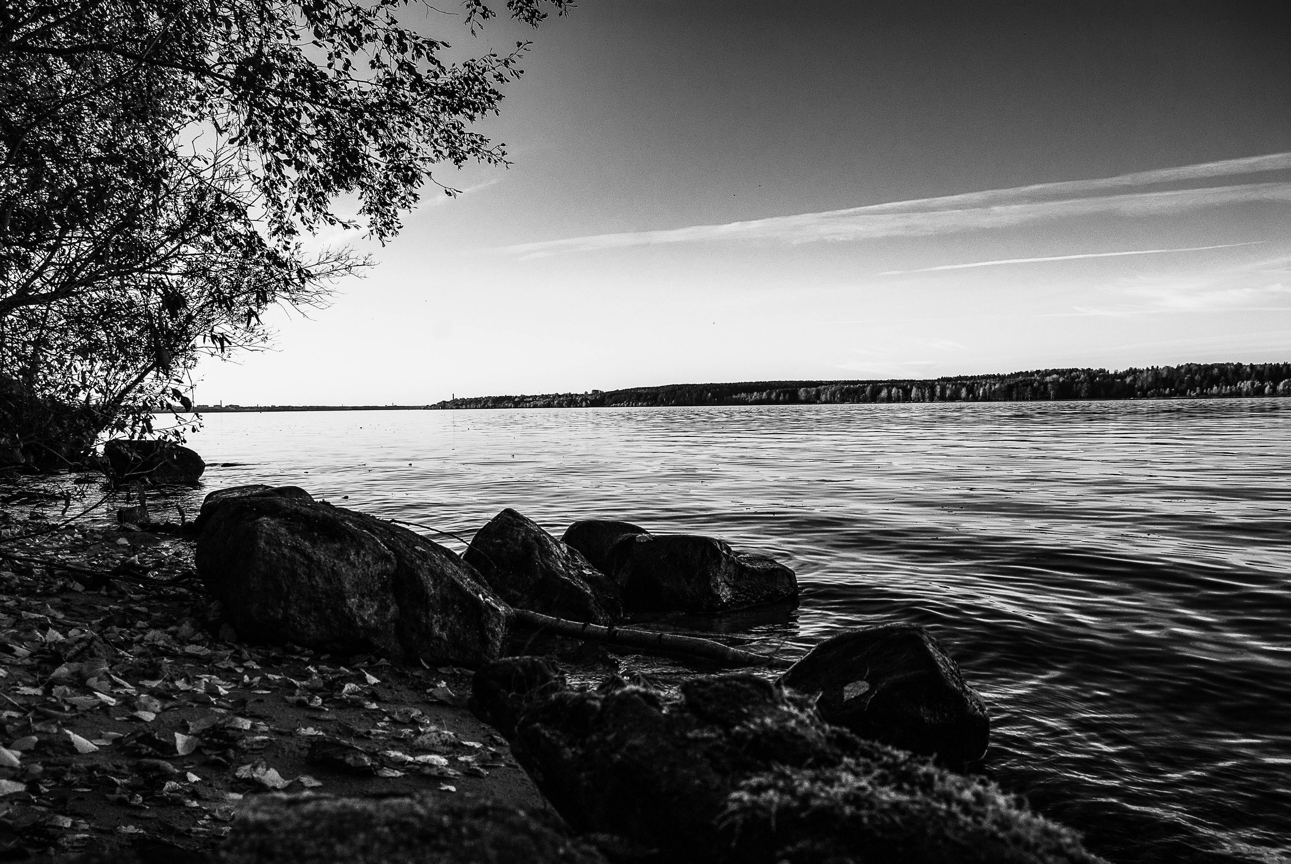 Услуги. Сергей Рыбин Фотограф в Кинешме Детский, Портретный, Свадебный…