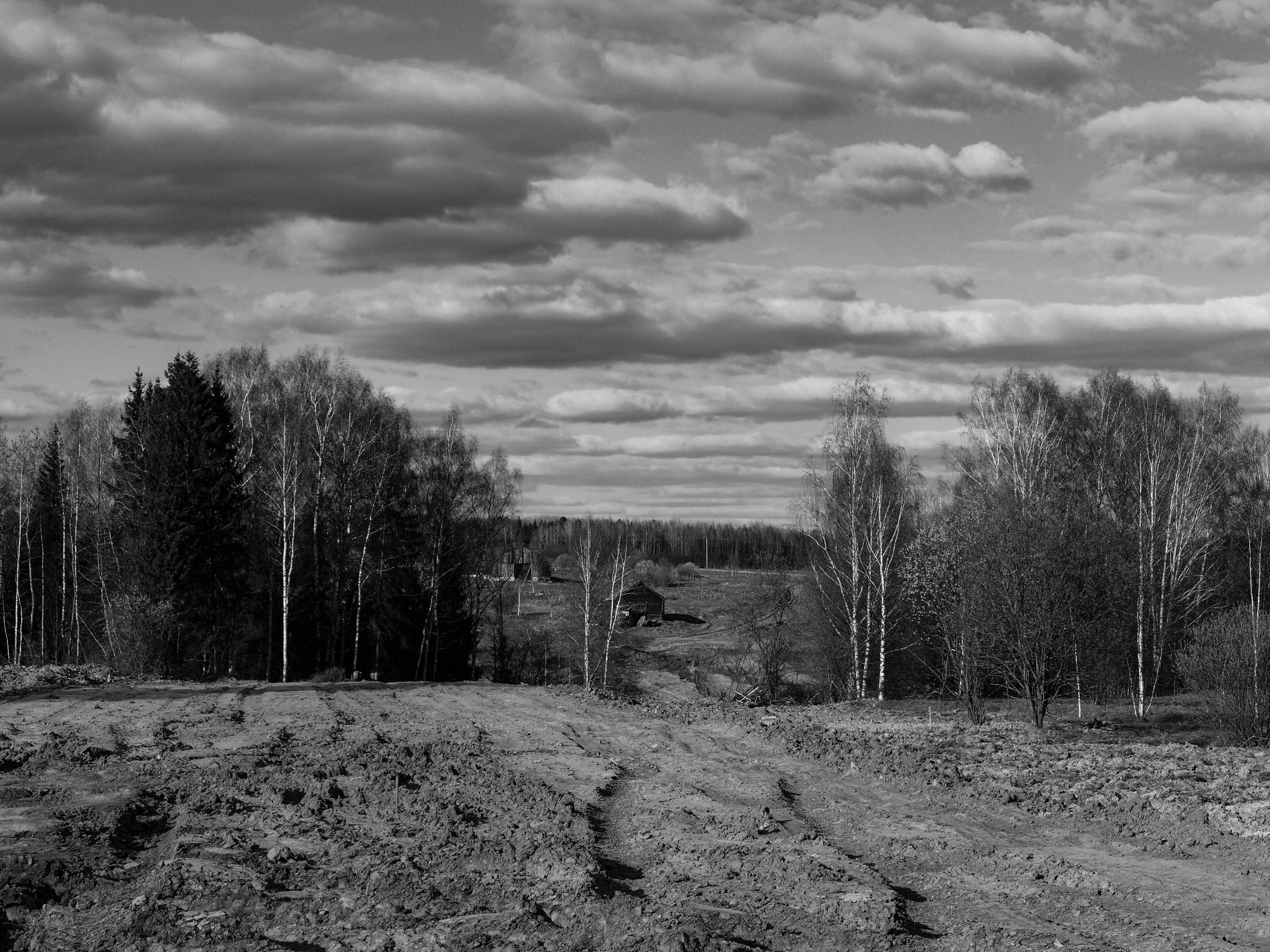 Услуги. Сергей Рыбин Фотограф в Кинешме Детский, Портретный, Свадебный…