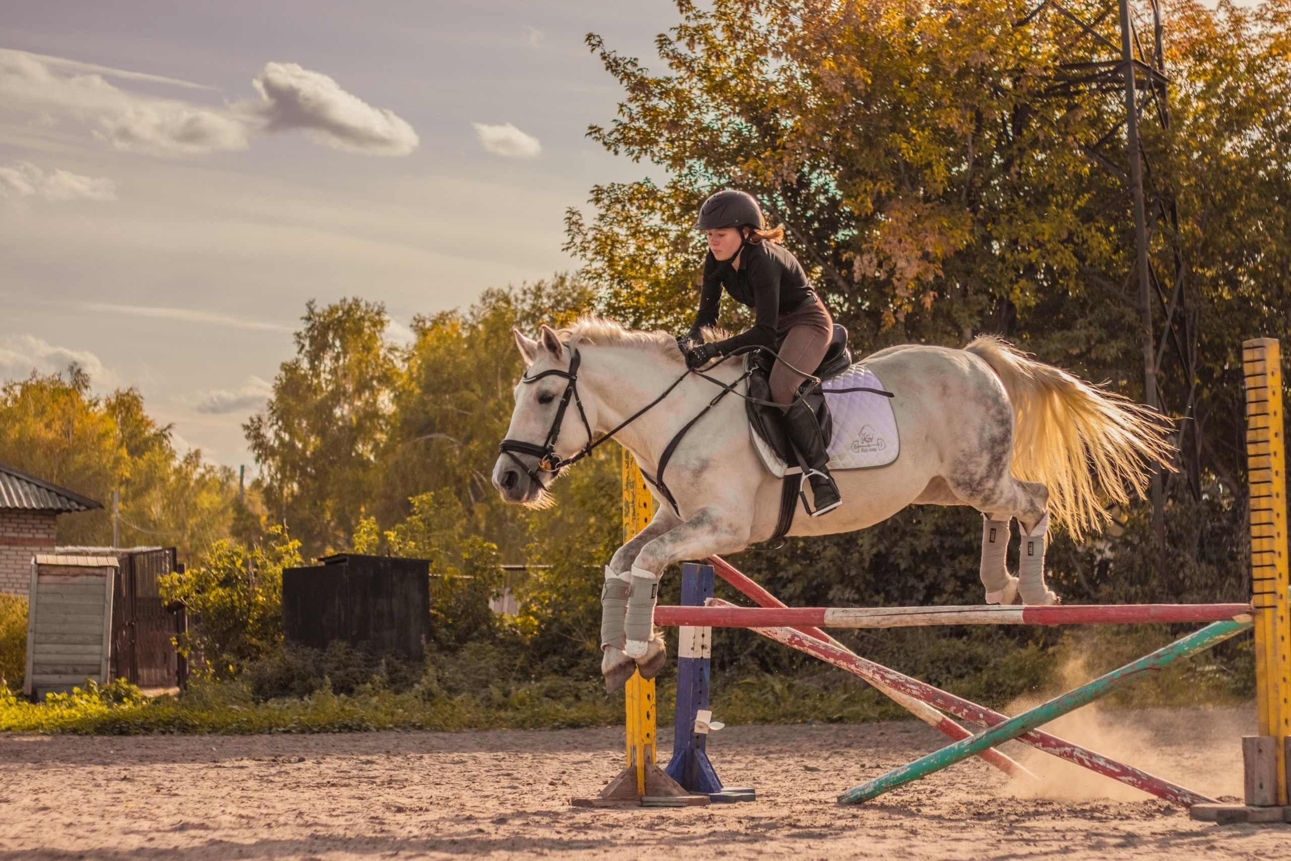 Для конников. Главная