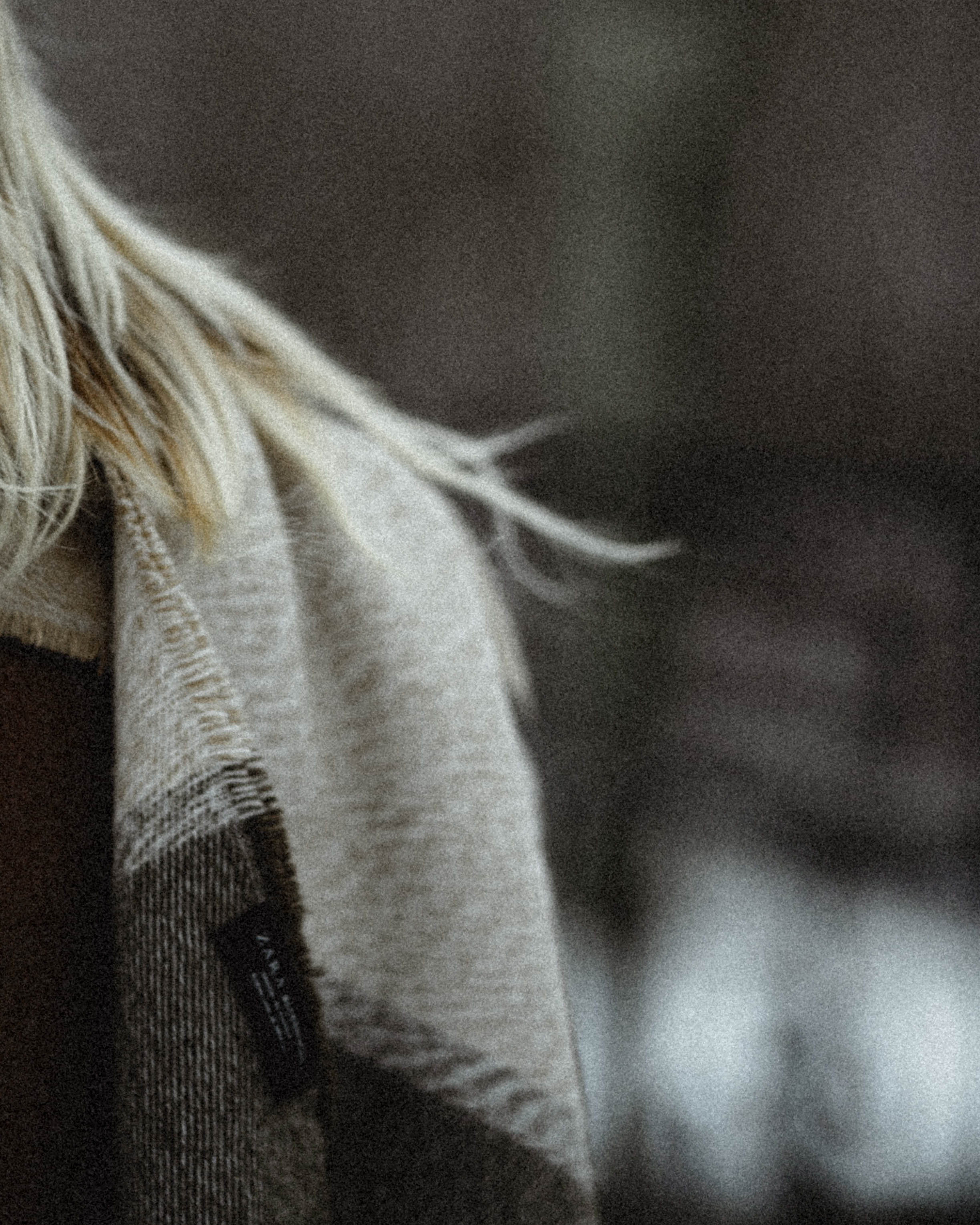 Dima&Ksusha. Фотограф города Уральск Ольга Василец