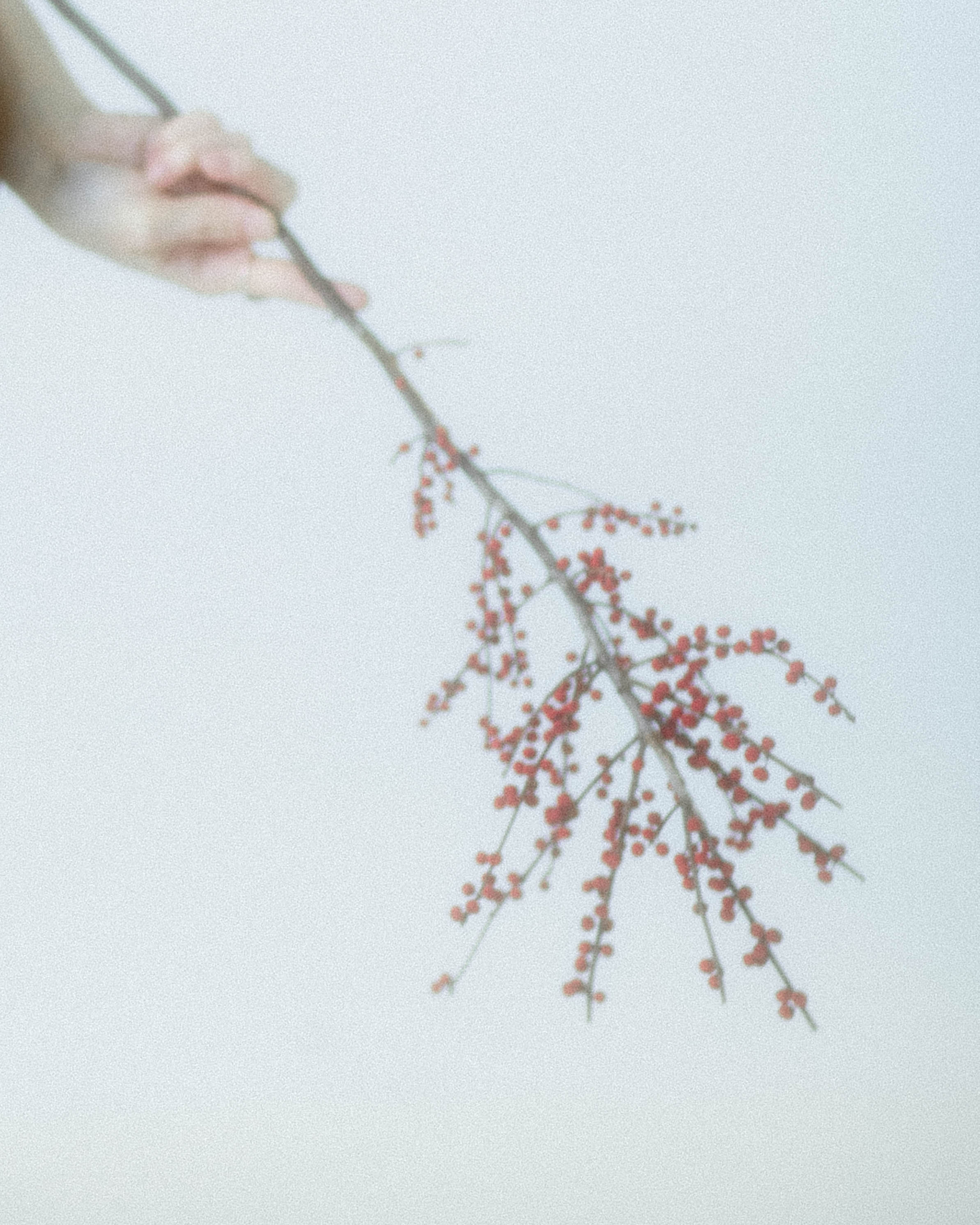 Maria. Фотограф города Уральск Ольга Василец