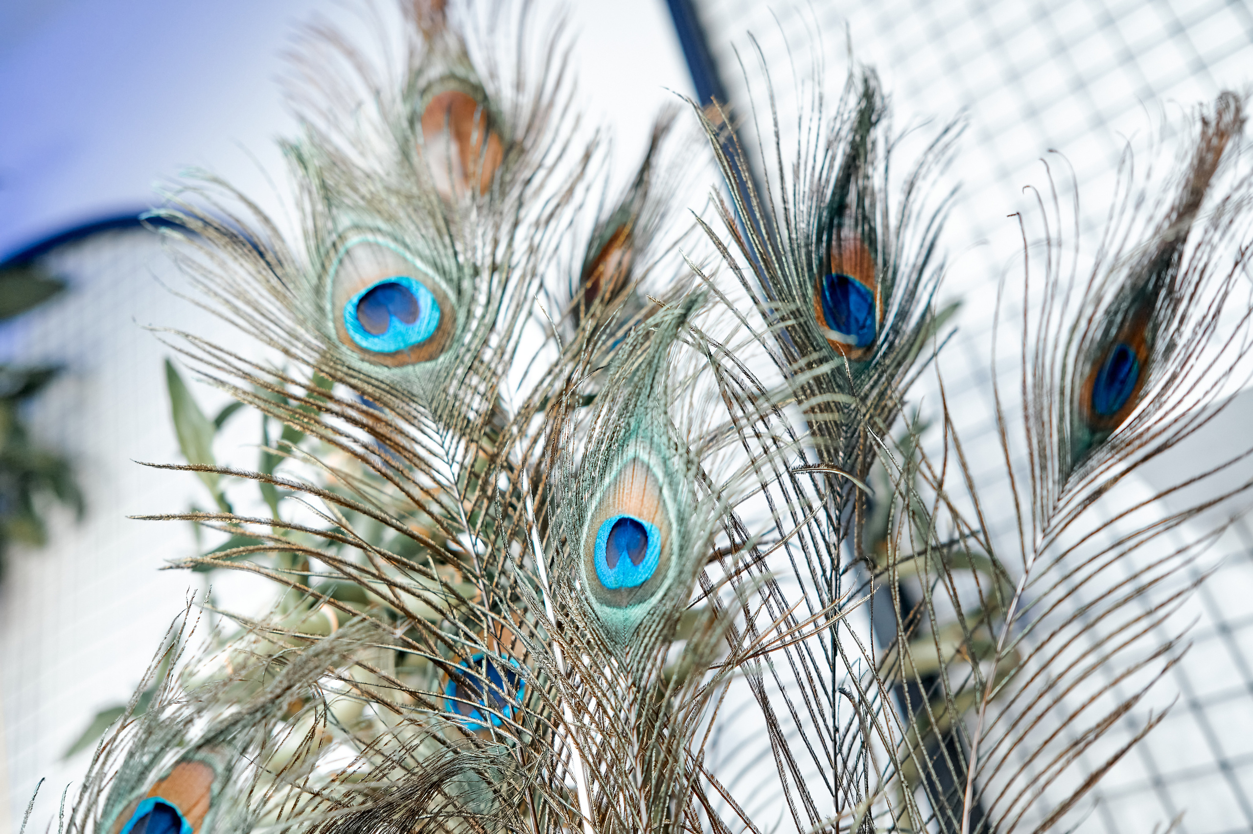 Репортаж, Новый год, фотограф, фотография, Минск, Беларусь, Москва, красивый, атмосфера, настроение, 2023, 2022, 2024, декабрь