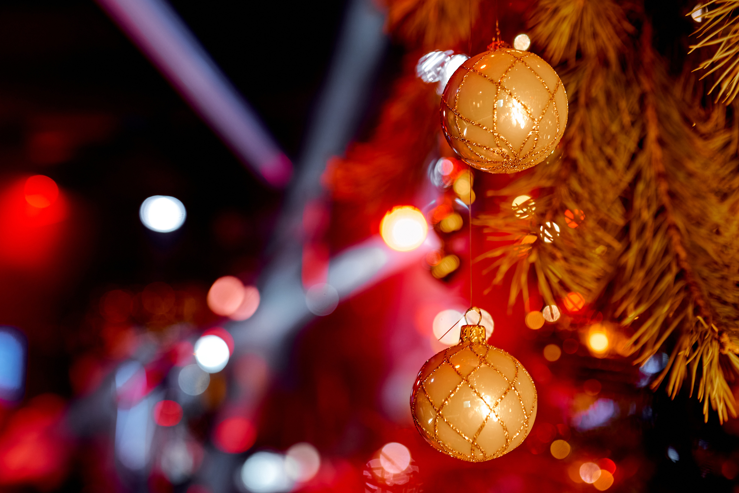 Репортаж, Новый год, фотограф, фотография, Минск, Беларусь, Москва, красивый, атмосфера, настроение, 2023, 2022, 2024, декабрь