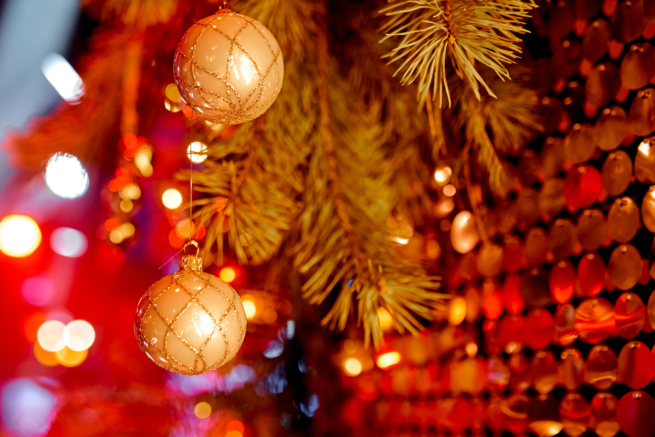 Репортаж, Новый год, фотограф, фотография, Минск, Беларусь, Москва, красивый, атмосфера, настроение, 2023, 2022, 2024, декабрь