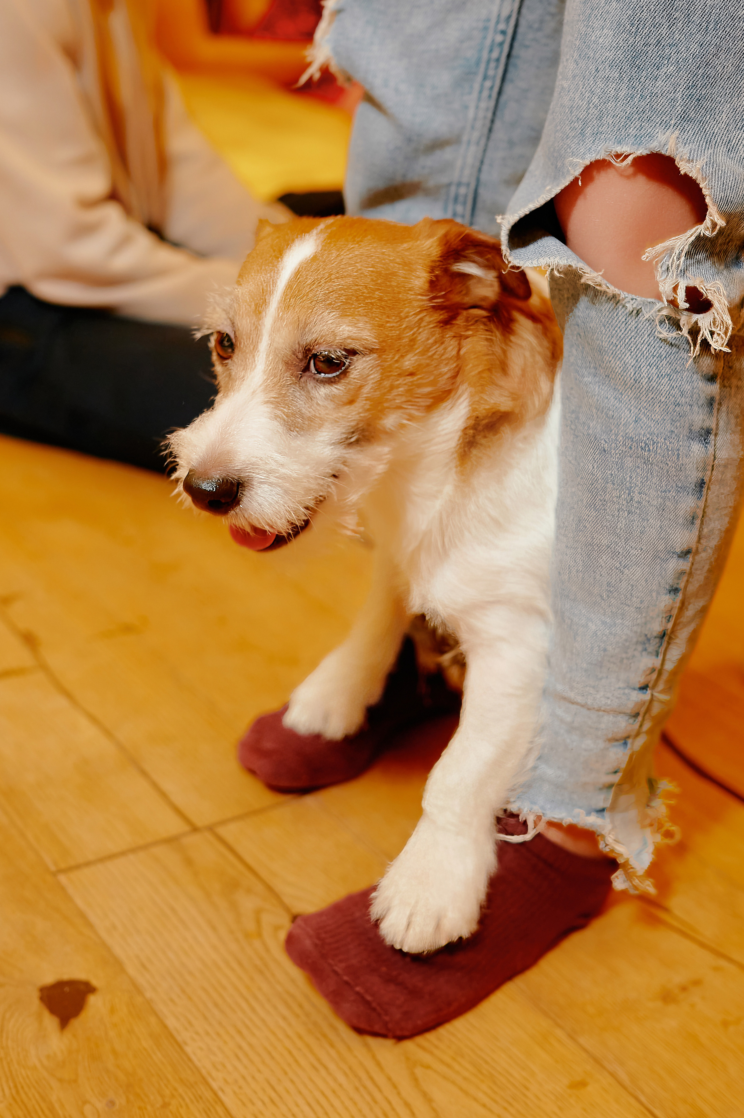 Репортаж, Новый год, фотограф, фотография, Минск, Беларусь, Москва, красивый, атмосфера, настроение, 2023, 2022, 2024, декабрь