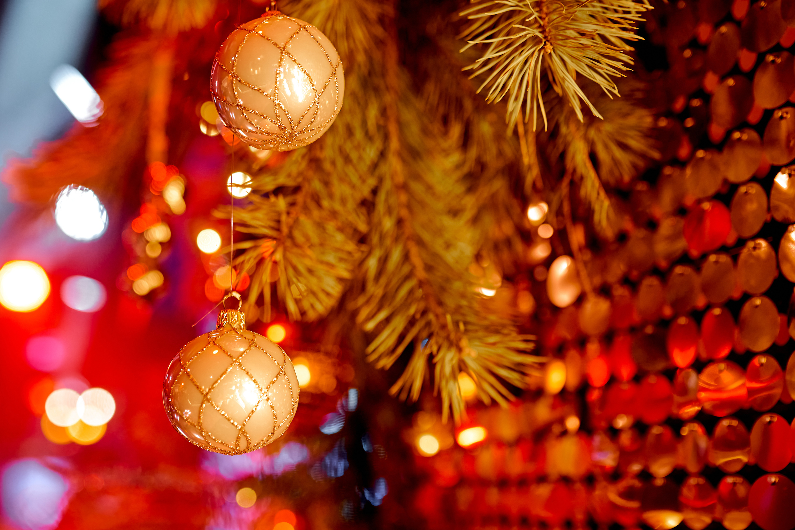 Репортаж, Новый год, фотограф, фотография, Минск, Беларусь, Москва, красивый, атмосфера, настроение, 2023, 2022, 2024, декабрь