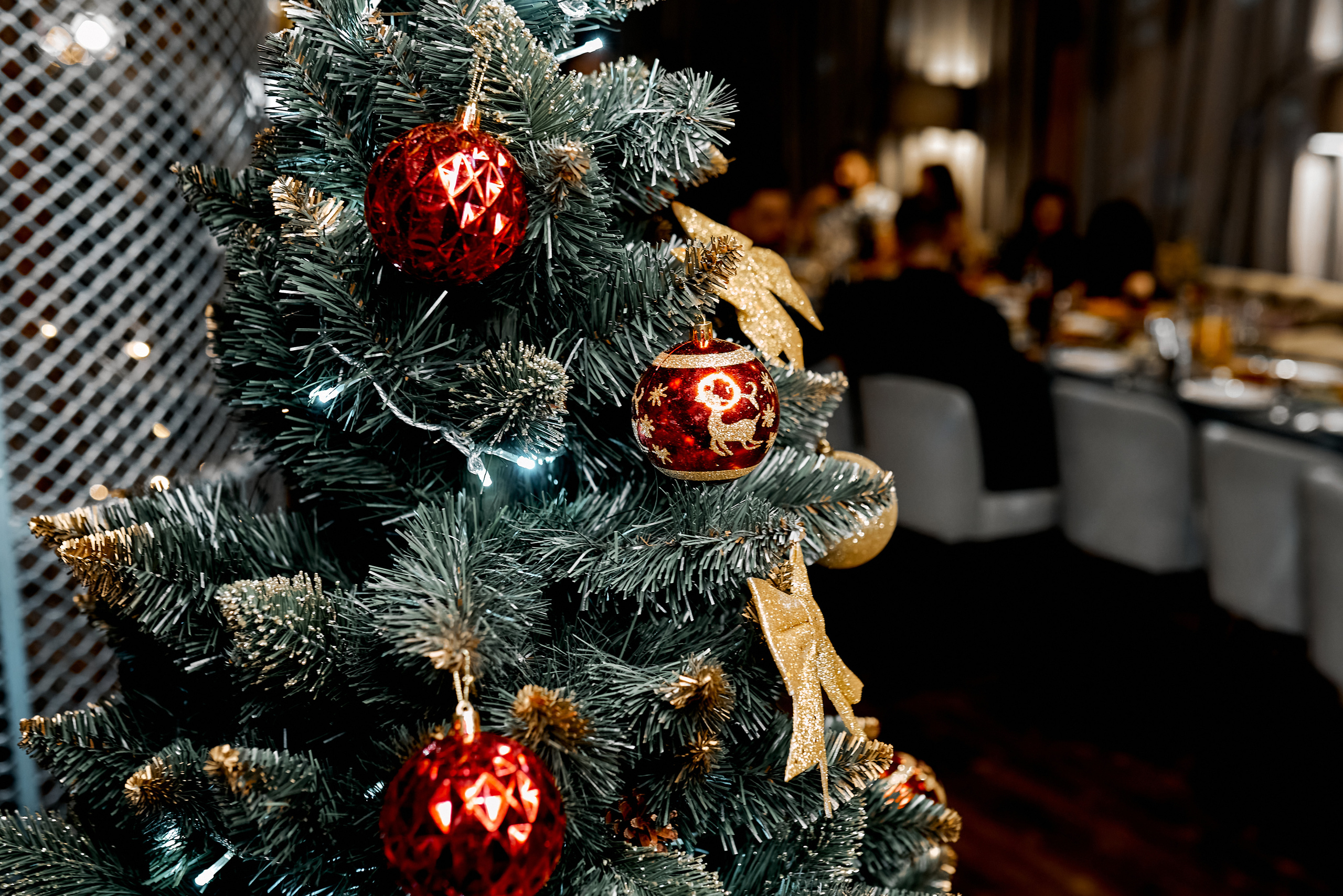 Репортаж, Новый год, фотограф, фотография, Минск, Беларусь, Москва, красивый, атмосфера, настроение, 2023, 2022, 2024, декабрь