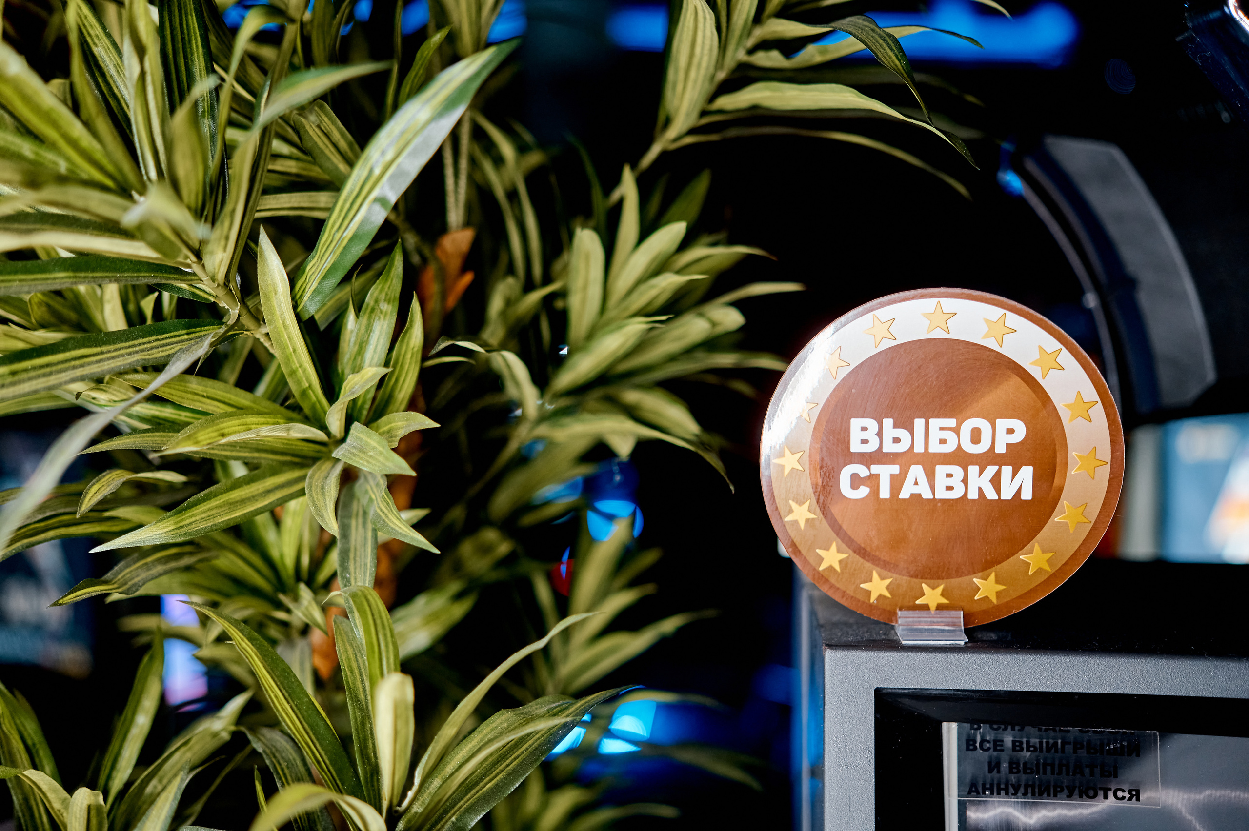 Репортаж, Новый год, фотограф, фотография, Минск, Беларусь, Москва, красивый, атмосфера, настроение, 2023, 2022, 2024, декабрь