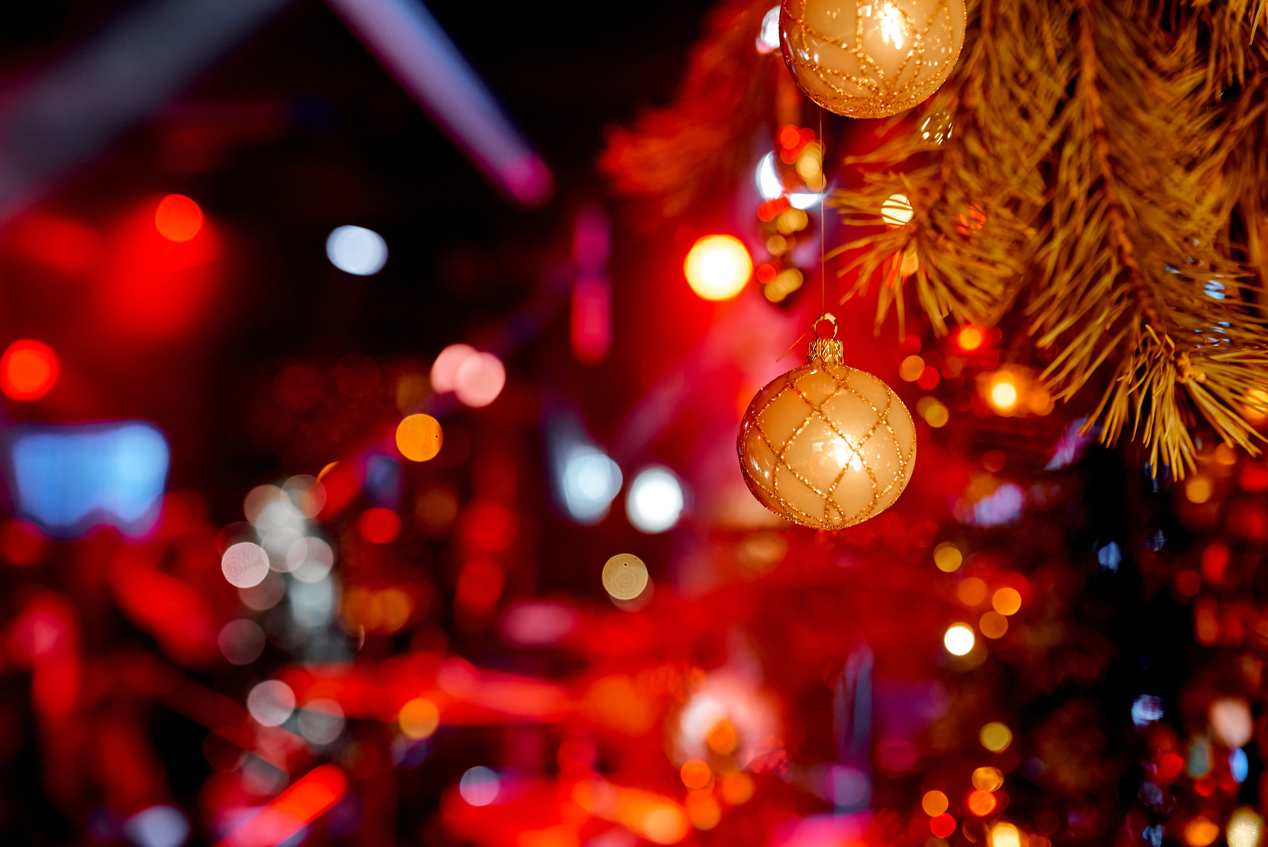 Репортаж, Новый год, фотограф, фотография, Минск, Беларусь, Москва, красивый, атмосфера, настроение, 2023, 2022, 2024, декабрь