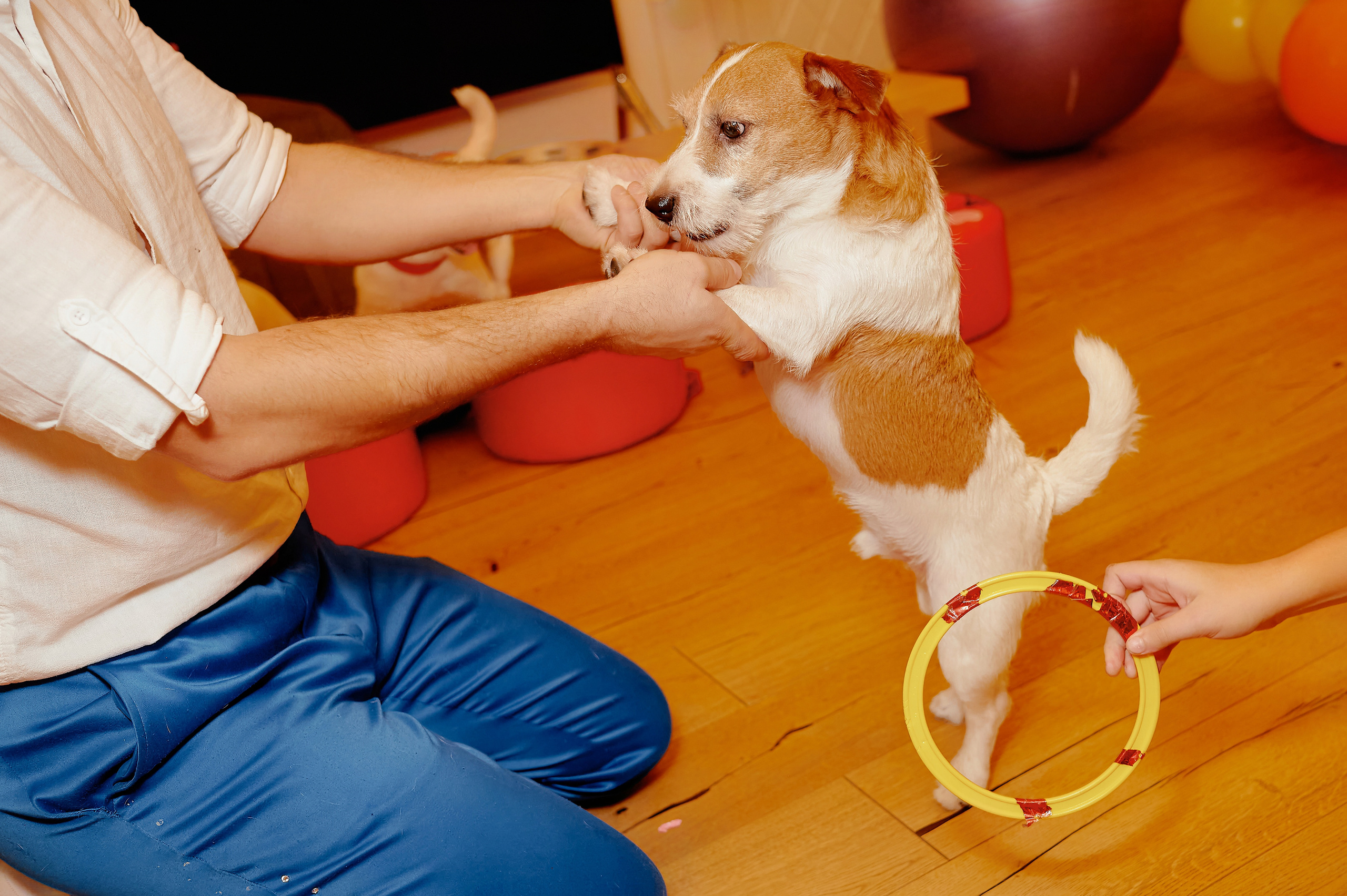 Репортаж, Новый год, фотограф, фотография, Минск, Беларусь, Москва, красивый, атмосфера, настроение, 2023, 2022, 2024, декабрь