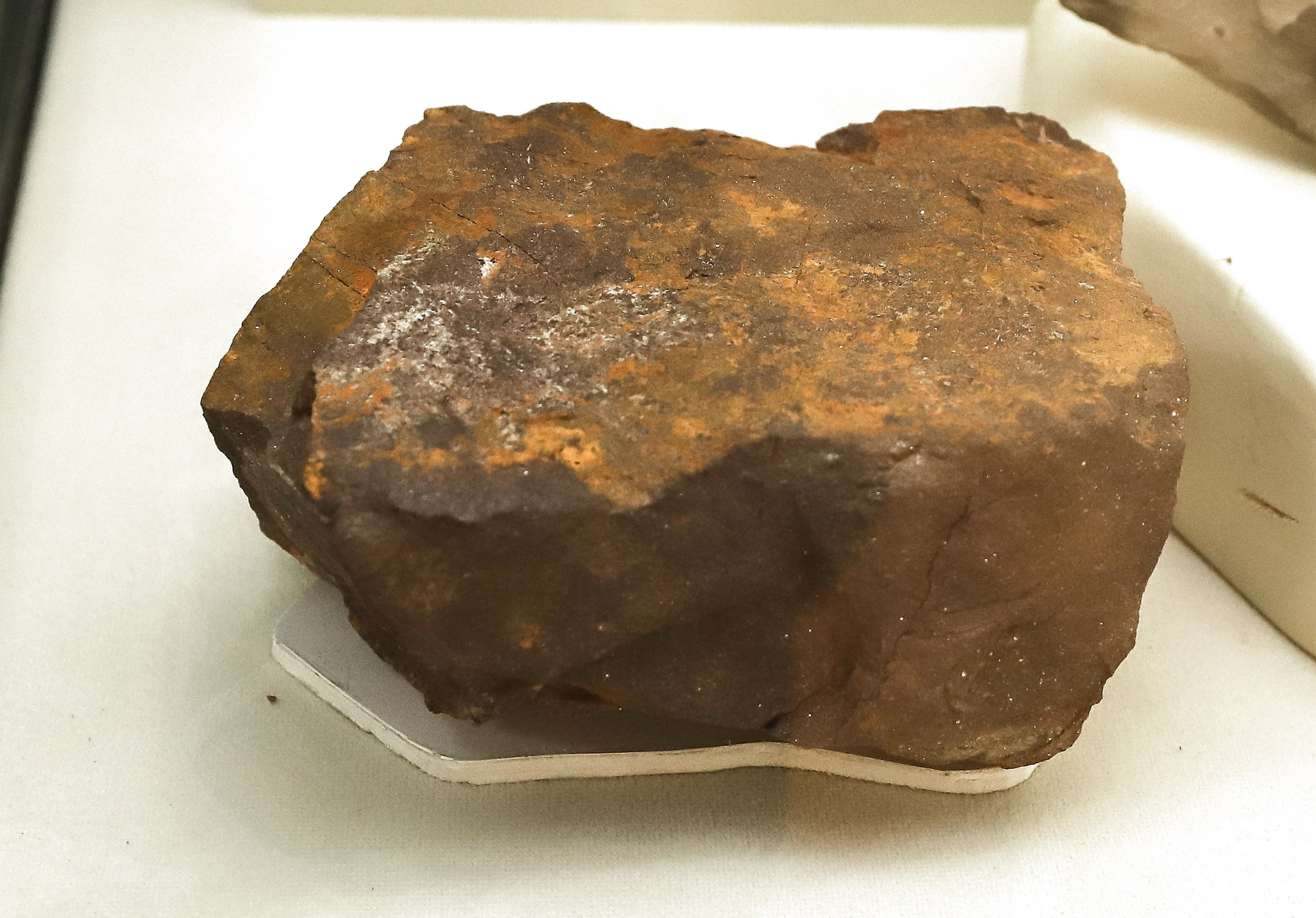 Каменная летопись. Фотограф Юлия Маринина