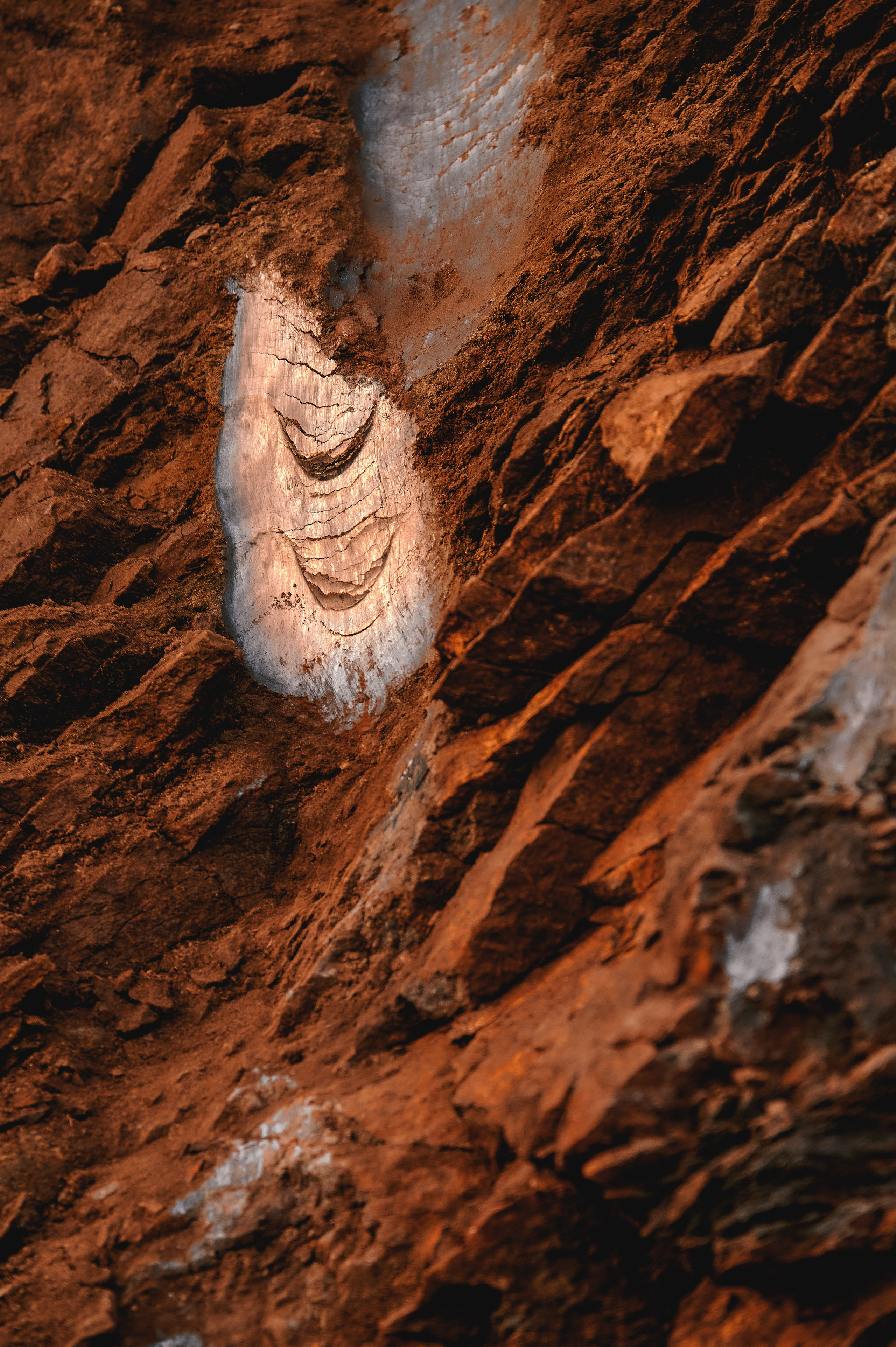 Компания по добыче графитовой руды «Дальграфит». Фотограф Яковлев Роман — Красноярск