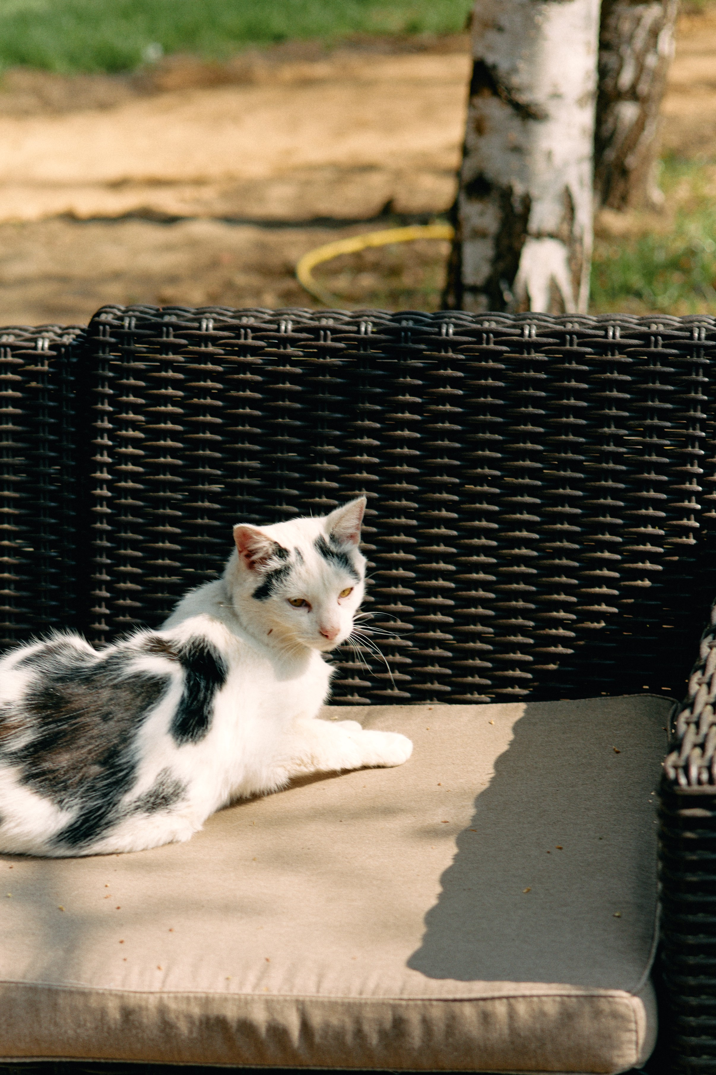 Бутик-отель Поле летом. Профессиональный Фотограф во Владимире, в Москве и в Суздале — Полина Романычева