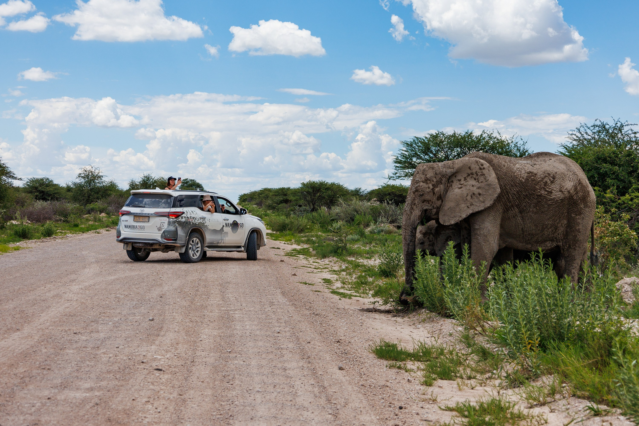 НАМИБИЯ. Роадтрип