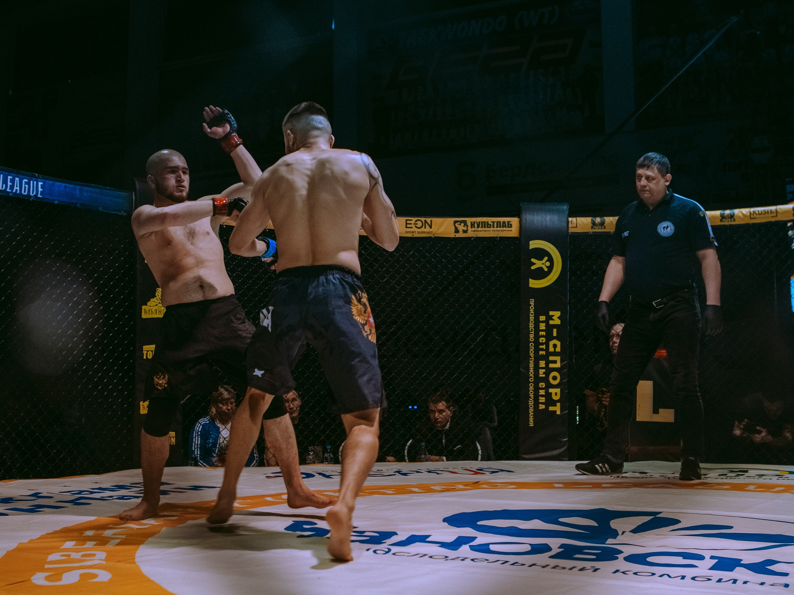 SFL 17 | Siberian Fighting League. Портретный фотограф в Москве Дарья Цезария