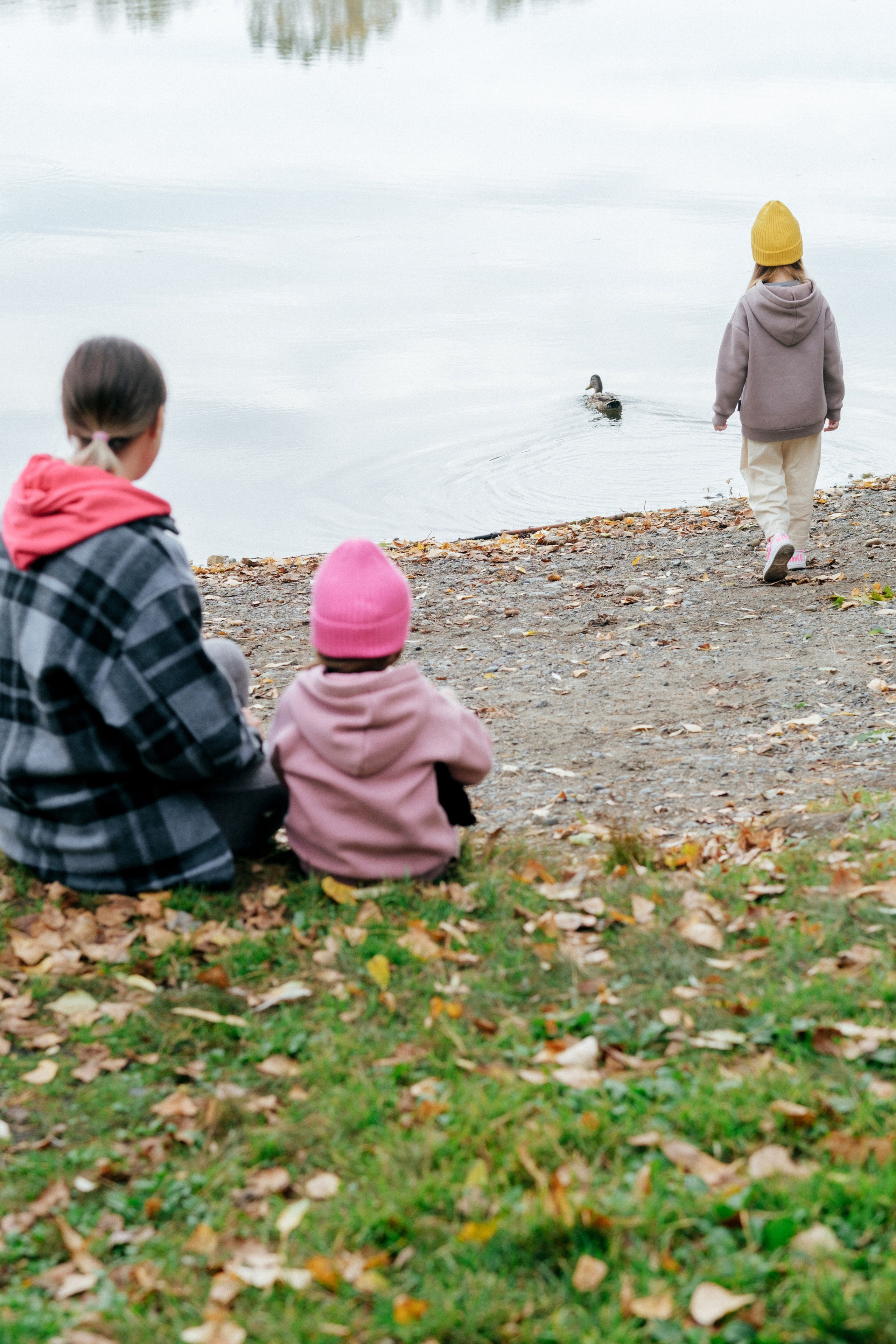 Осенний пикник. Свадебный Видеограф Фотограф в Сочи