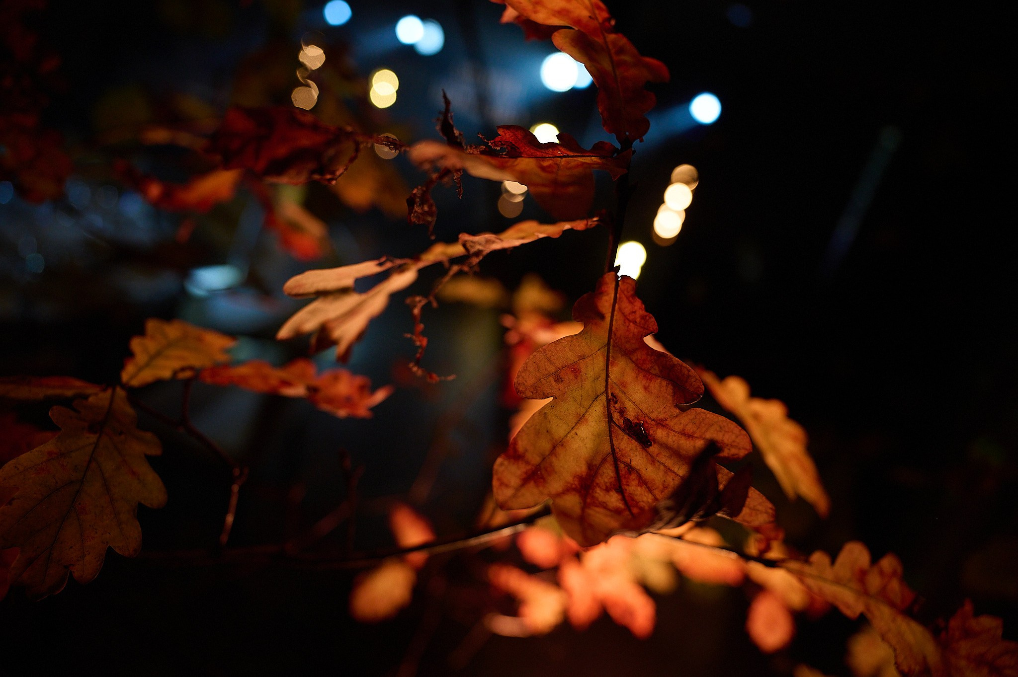 Андрей и Виктория. Маляревич Дмитрий свадебный фотограф