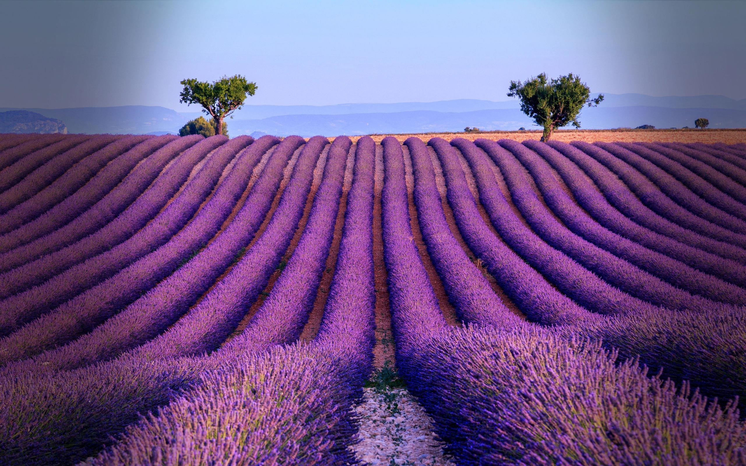 УСЛУГИ. Фотограф для маркетплейсов Михаил Бове